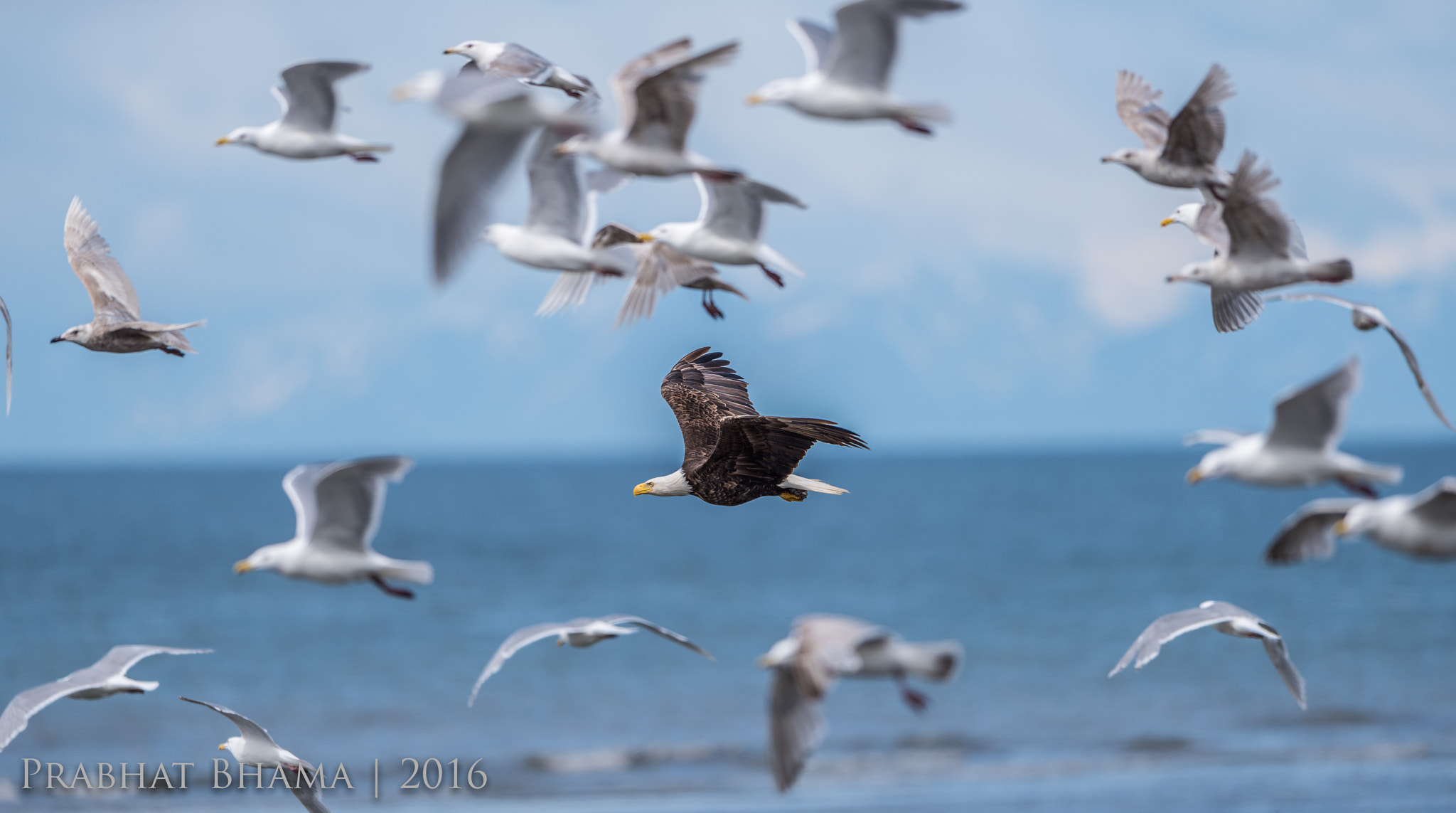 Nikon AF-S Nikkor 400mm F2.8E FL ED VR sample photo. Anchor point beach june photography