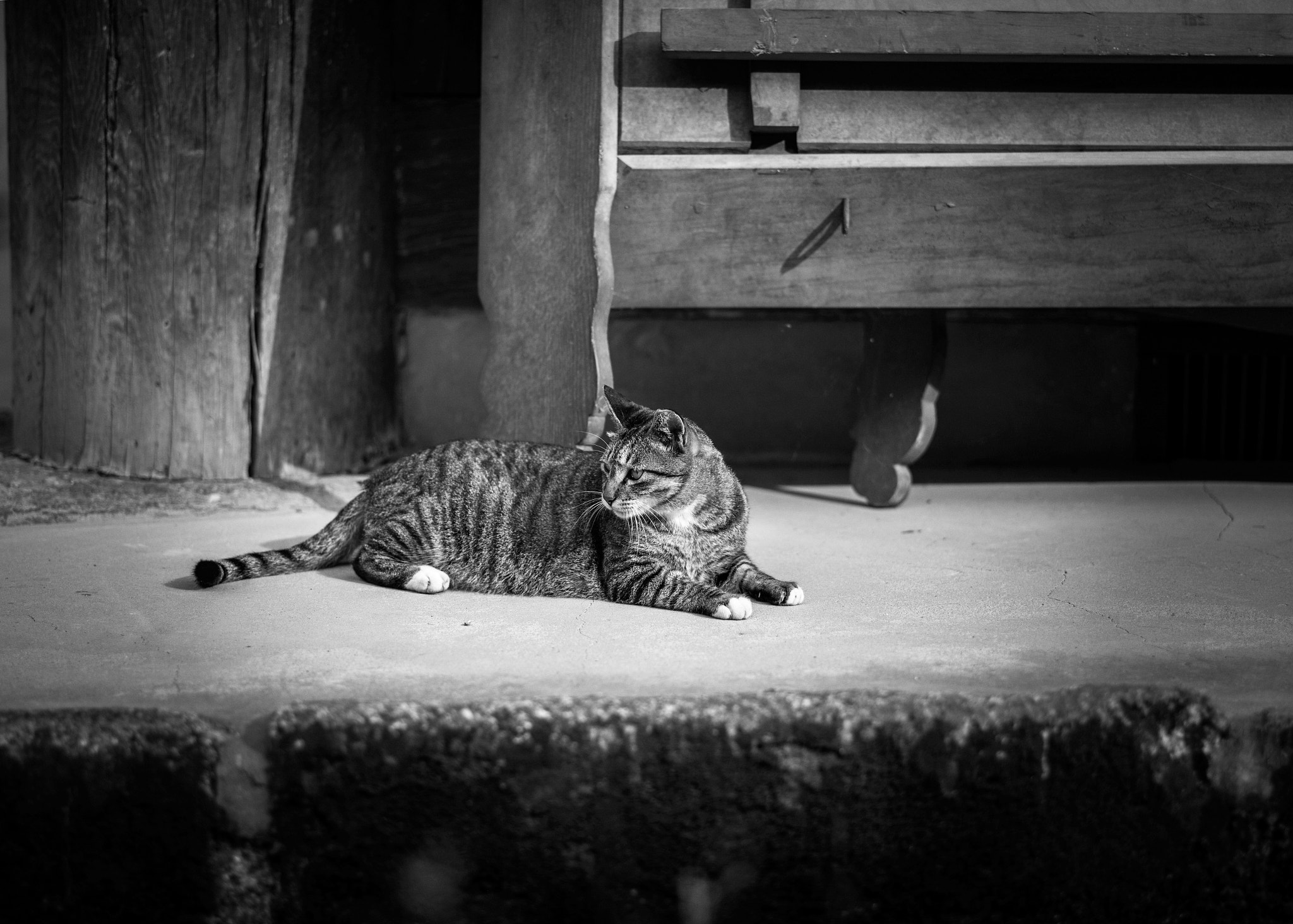 Leica APO-Summicron-M 90mm F2 ASPH sample photo