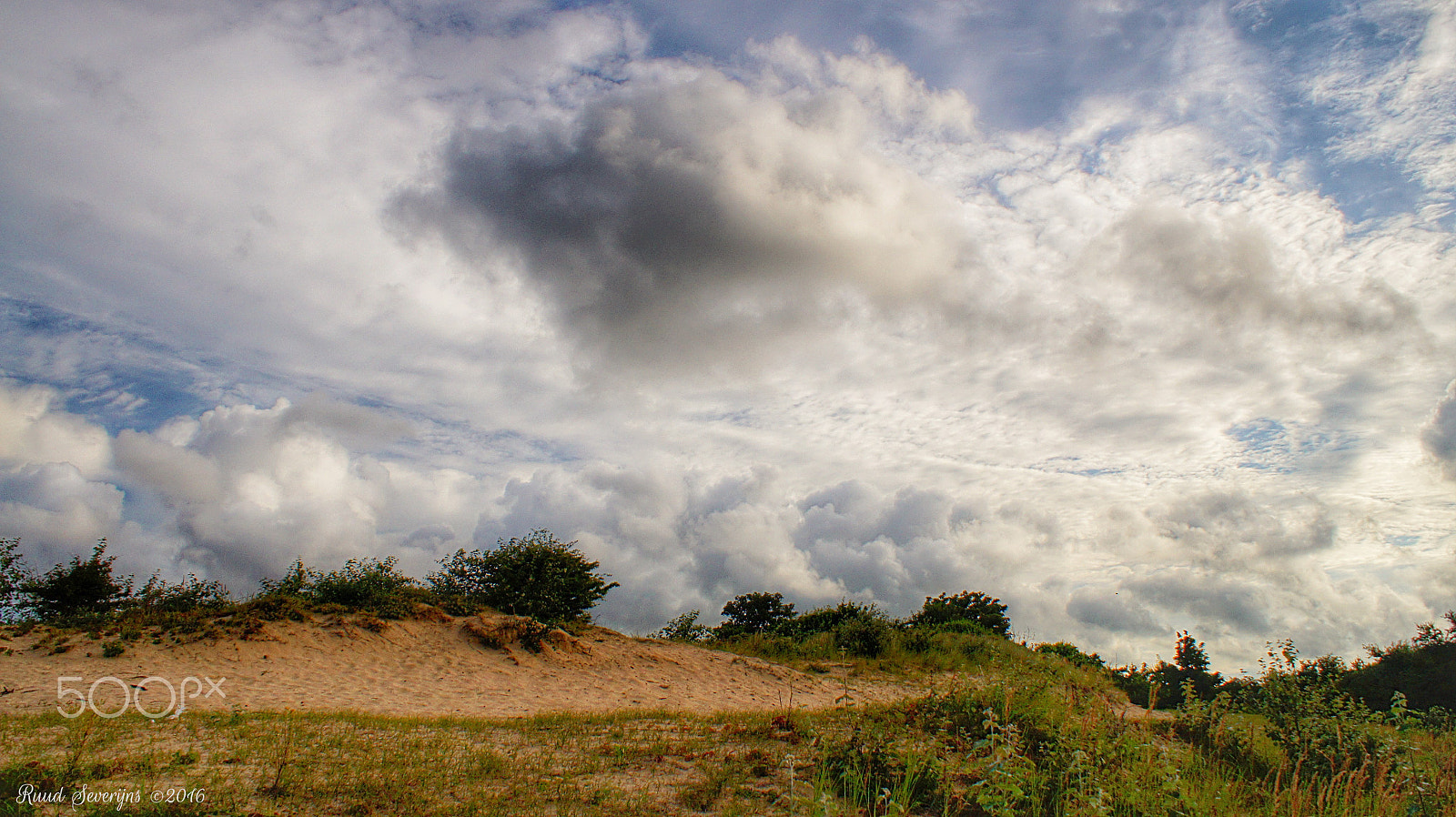 Sony DT 18-70mm F3.5-5.6 sample photo. Duinen egmond binnen photography