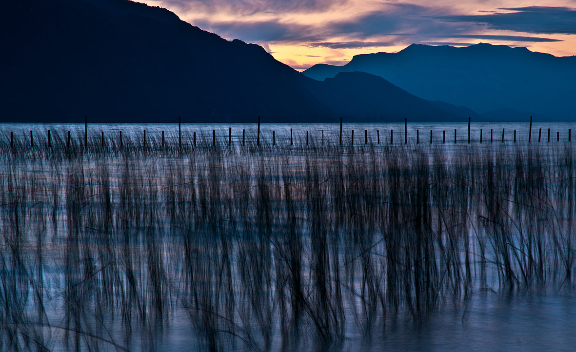 Nikon D300S sample photo. Lac photography