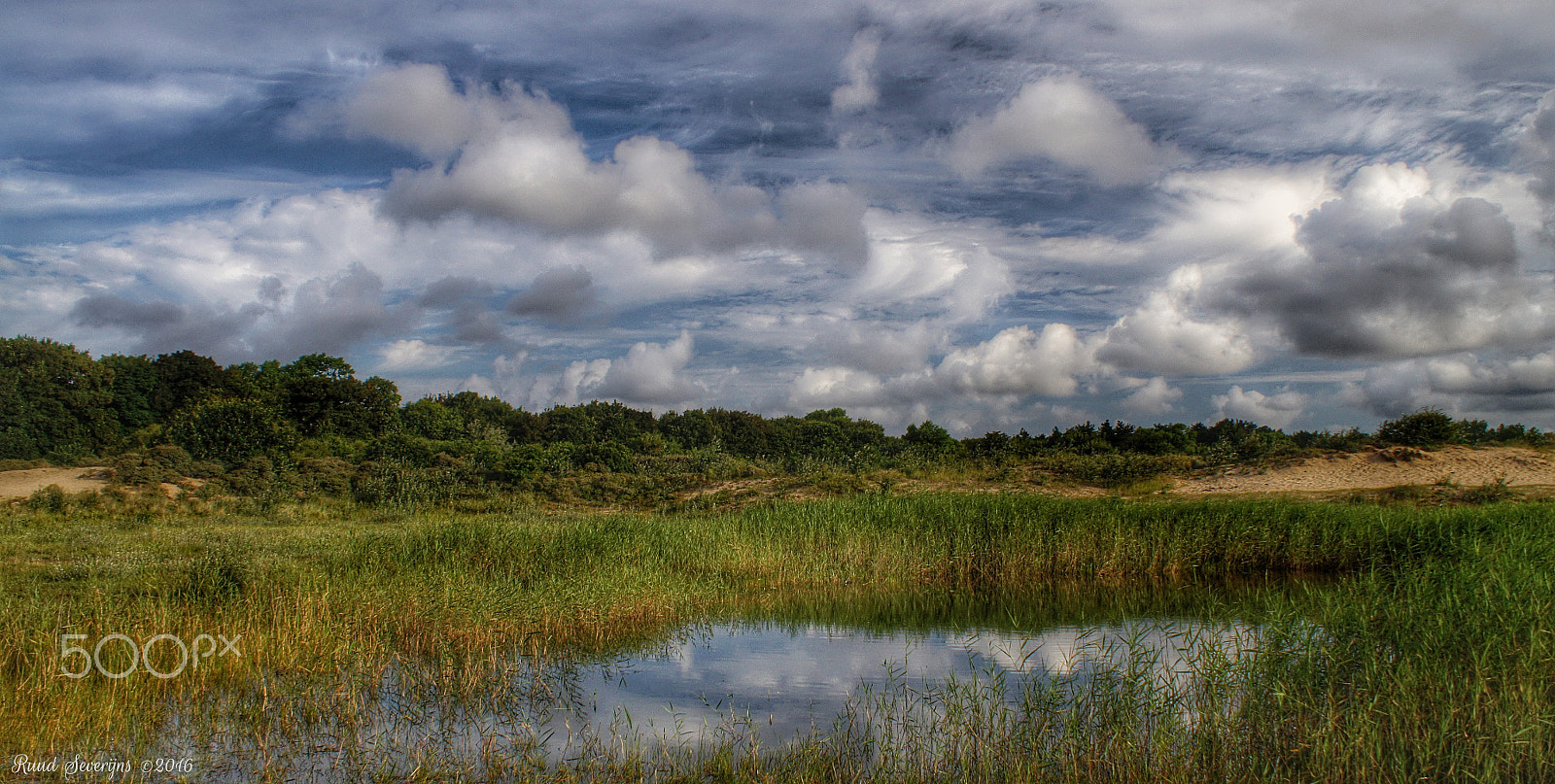 Sony DT 18-70mm F3.5-5.6 sample photo. Noord hollands duin reservaat photography