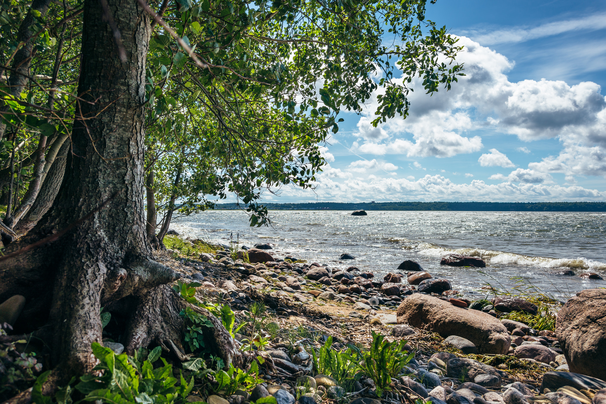 AF Zoom-Nikkor 28-70mm f/3.5-4.5D sample photo. Kakumäe bay photography