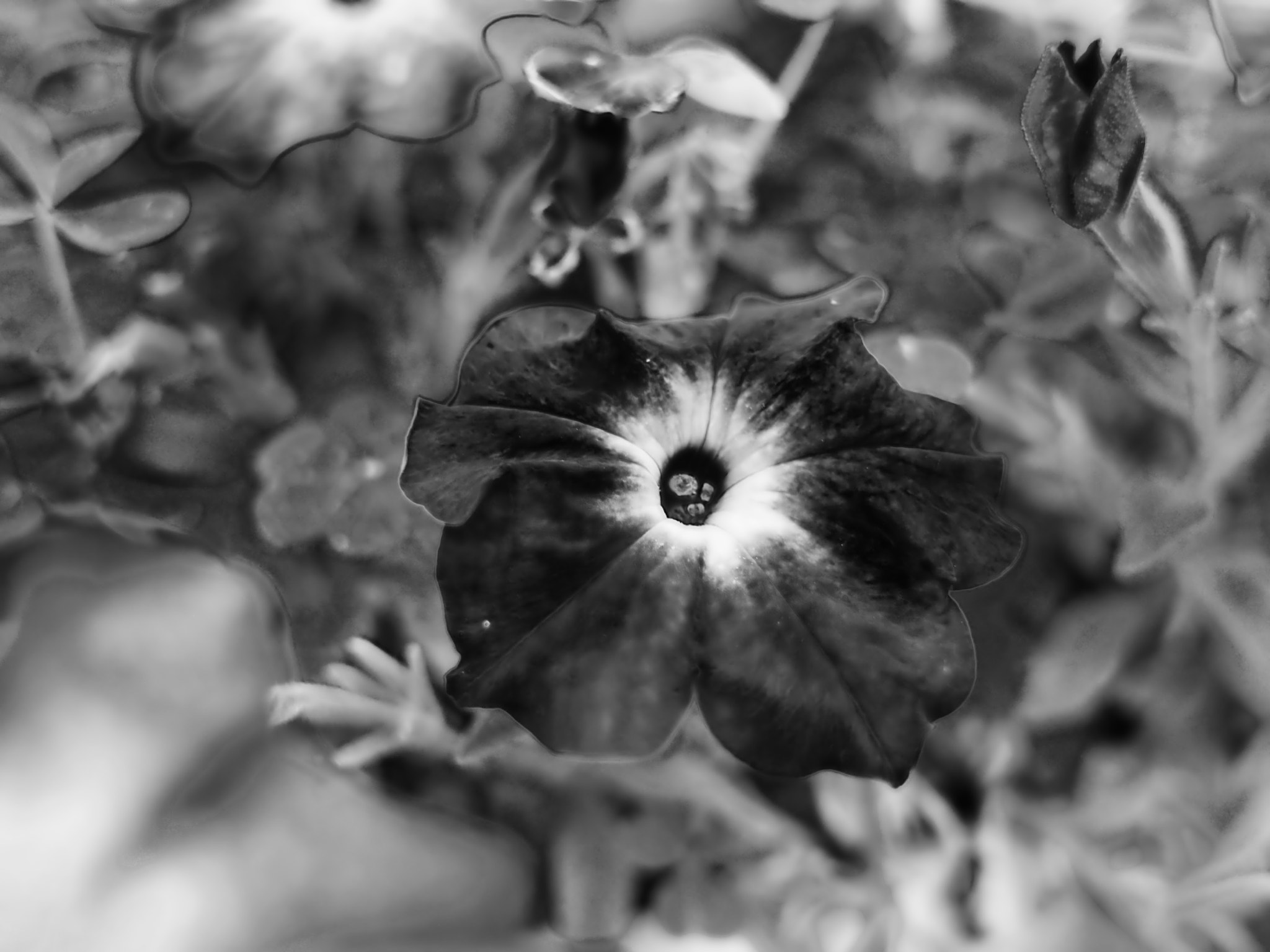 Sigma 19mm F2.8 DN Art sample photo. Olympus digital camera photography