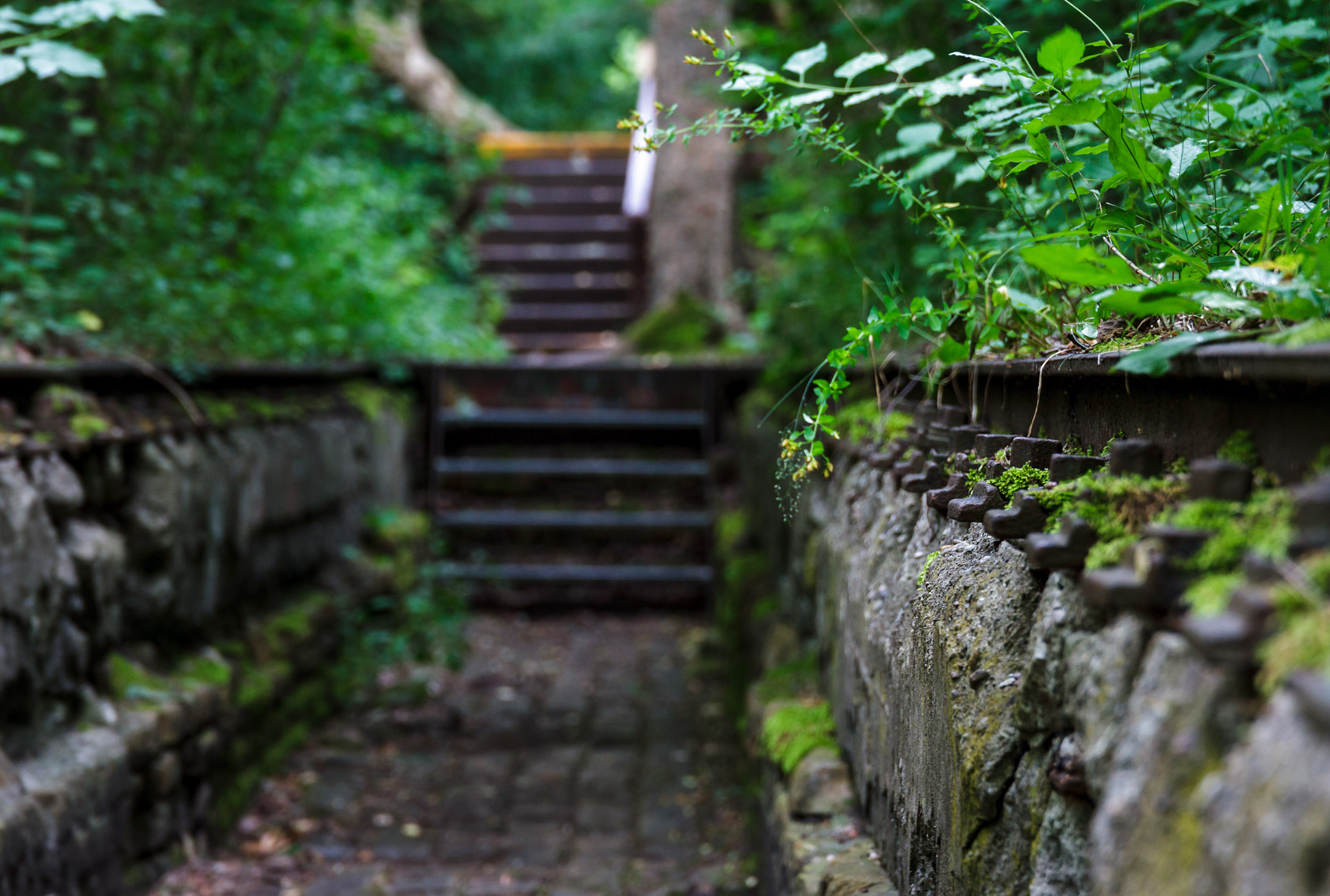 Sigma 24-105mm f/4 DG OS HSM | A sample photo. Alte gleise photography