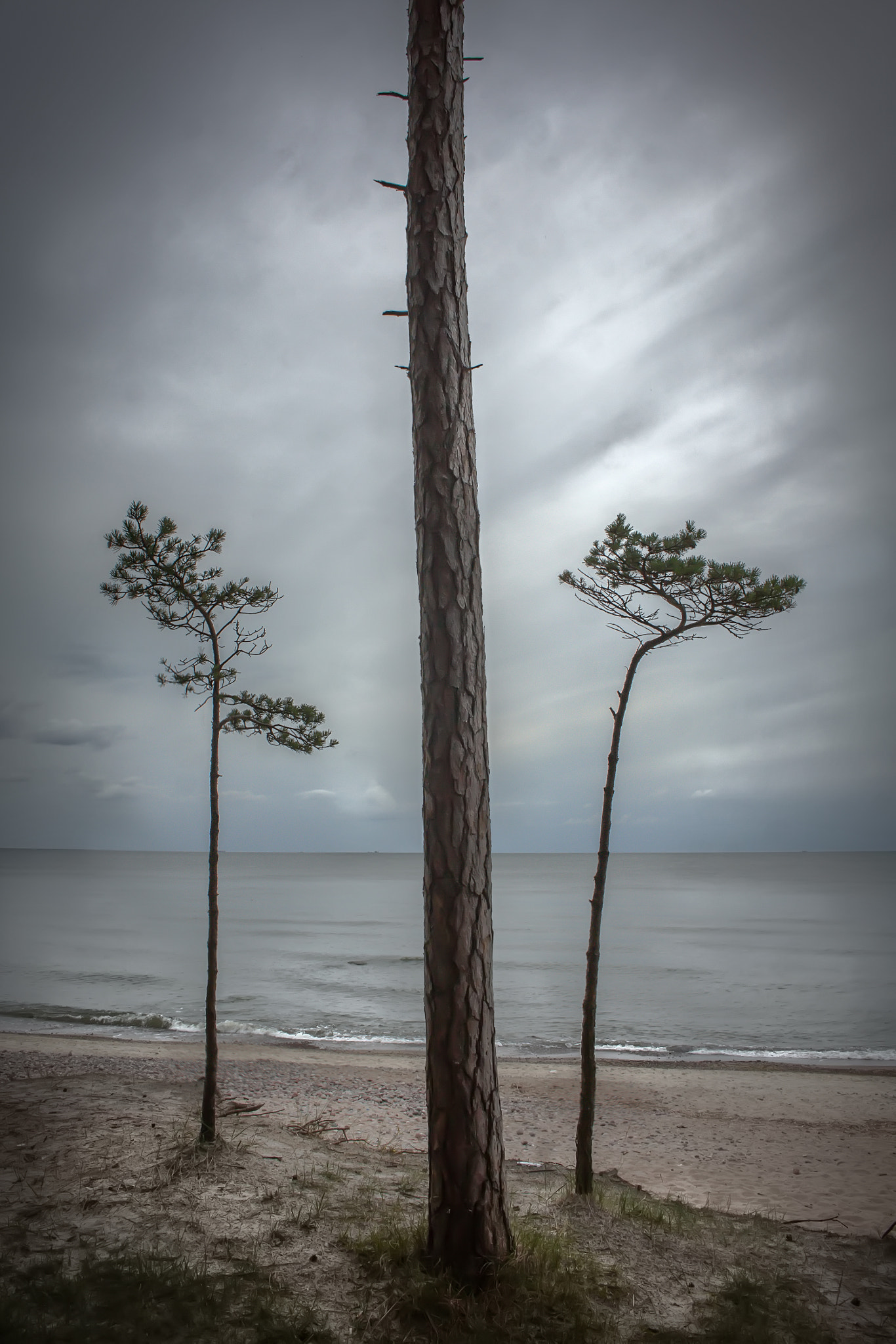 Canon EOS 50D sample photo. Baltic july photography
