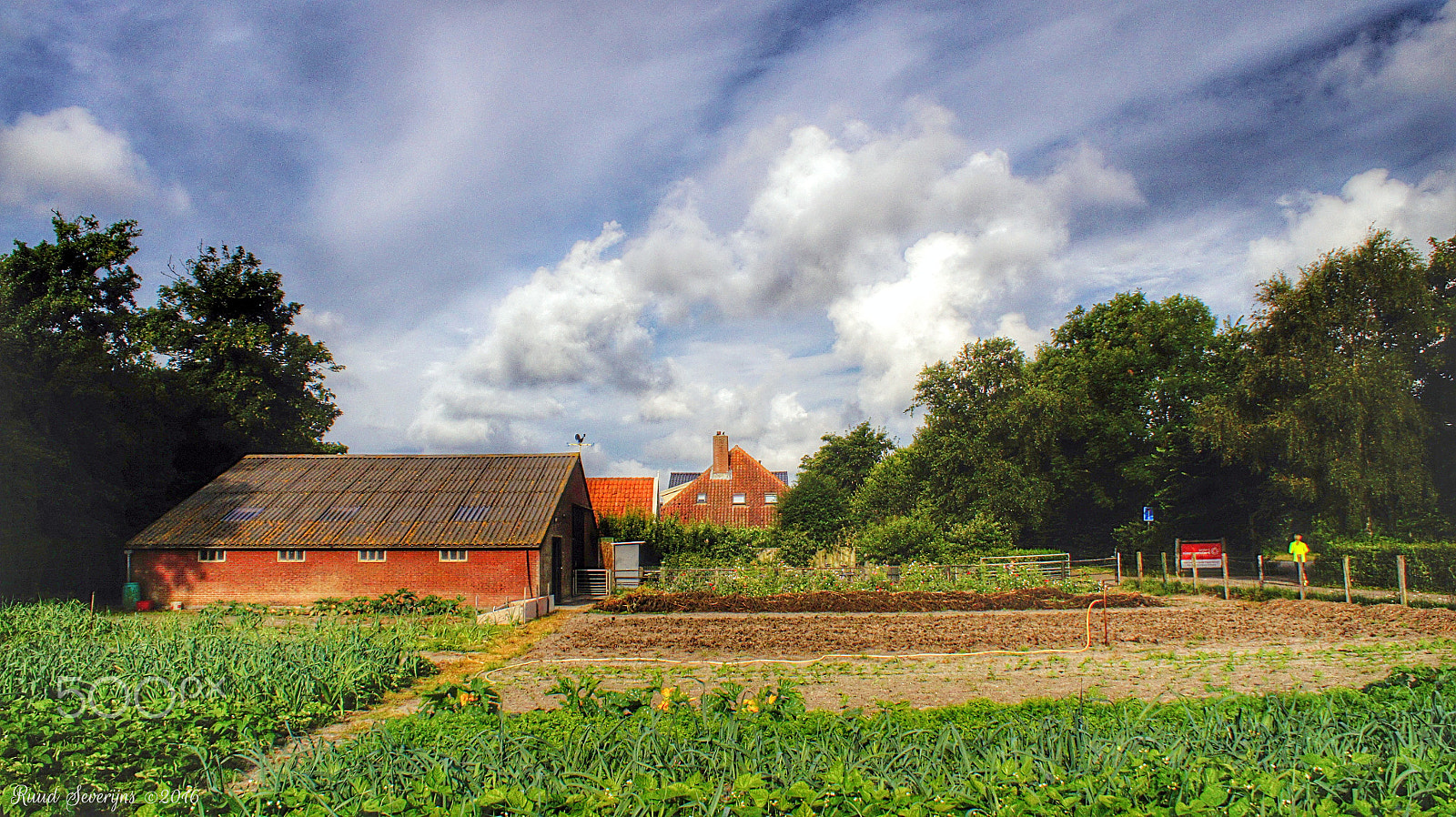 Sony DT 18-70mm F3.5-5.6 sample photo. Egmond-binnen photography