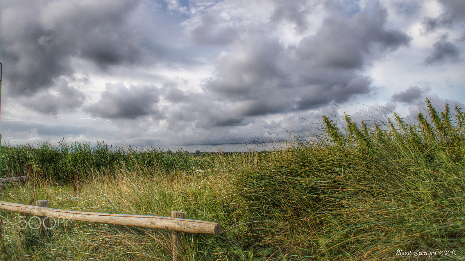 Sony DT 18-70mm F3.5-5.6 sample photo. Noord hollands duin reservaat photography