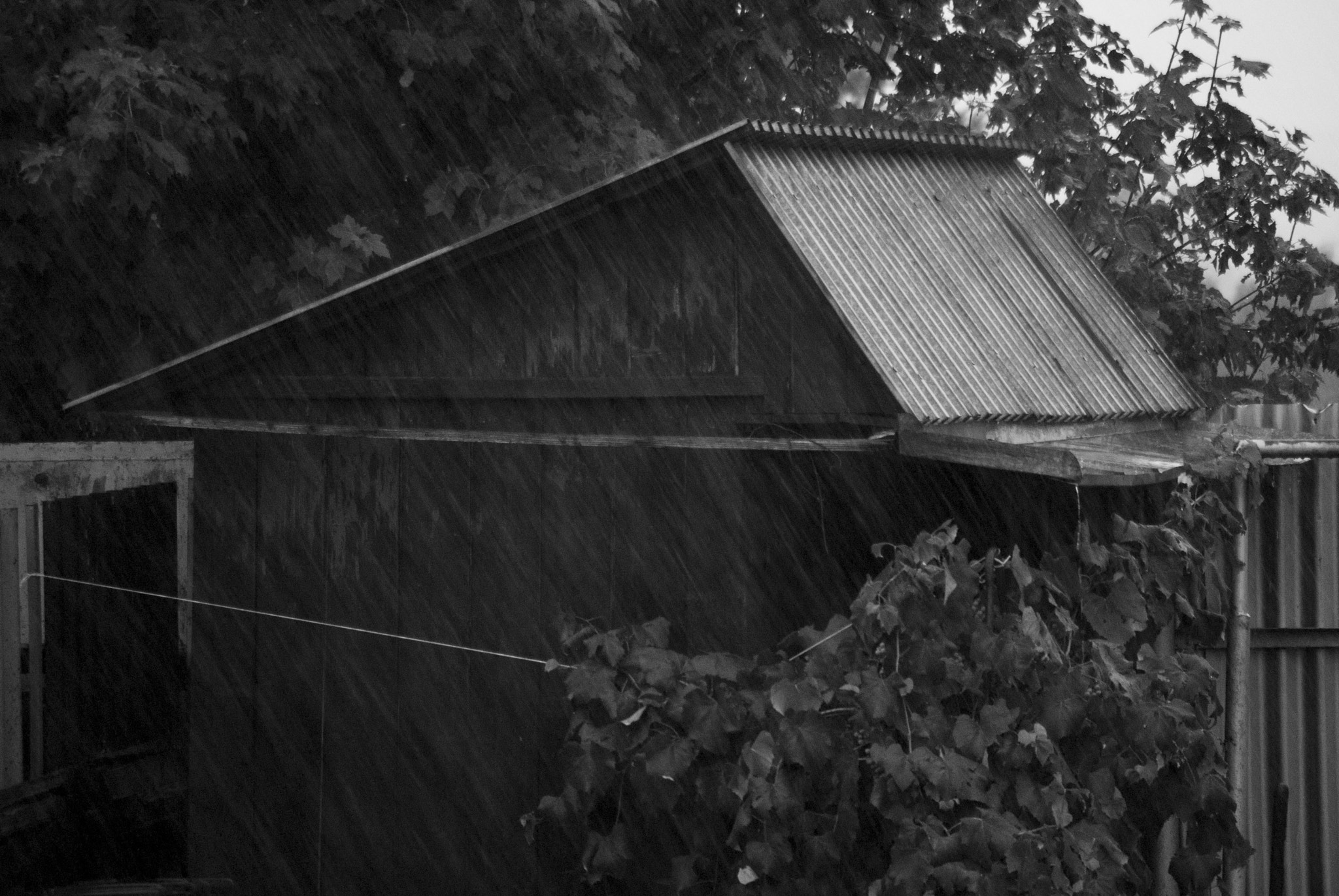 Pentax K-m (K2000) sample photo. House in the garden.jpg photography