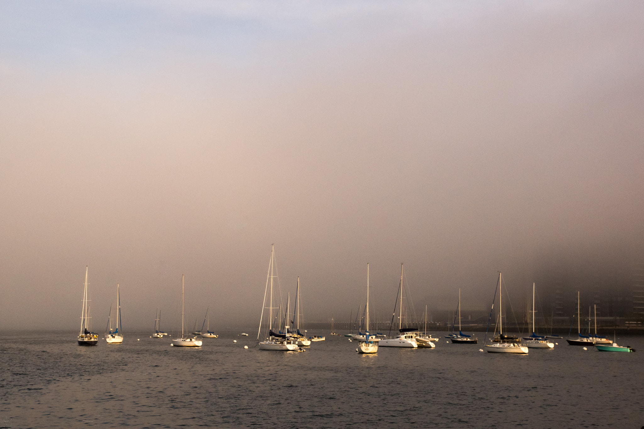 Sony SLT-A77 sample photo. Into the mist photography
