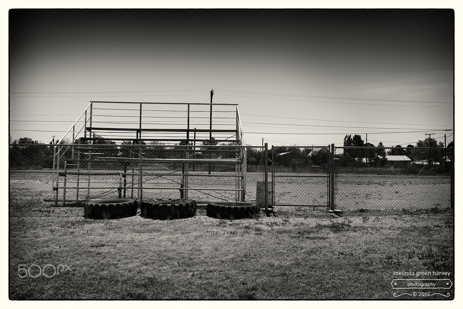 Summicron-M 1:2/35 ASPH. sample photo. No game photography
