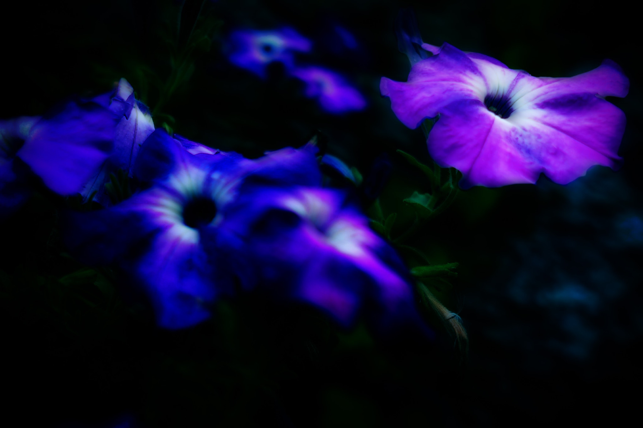 Sigma 19mm F2.8 DN Art sample photo. Olympus digital camera photography