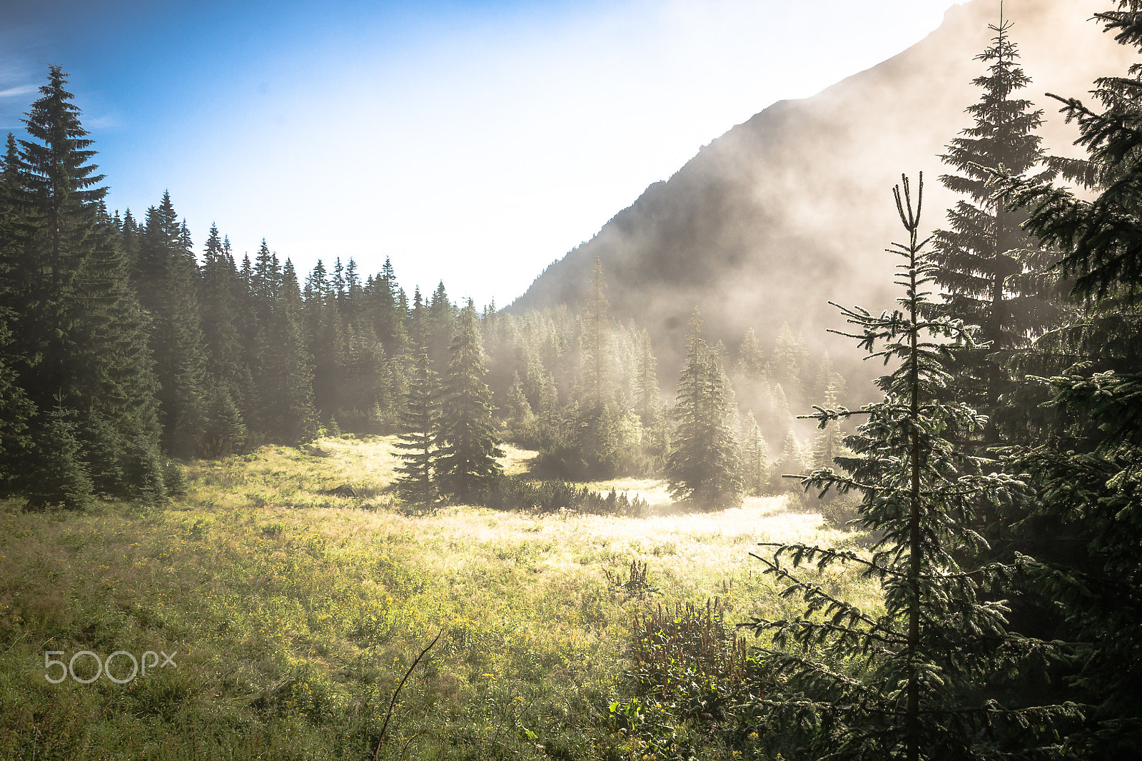 Sony Alpha DSLR-A500 + Tamron AF 28-105mm F4-5.6 [IF] sample photo. Misty meadow photography