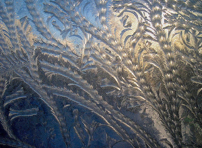 Nikon E4300 sample photo. Frost patterns photography