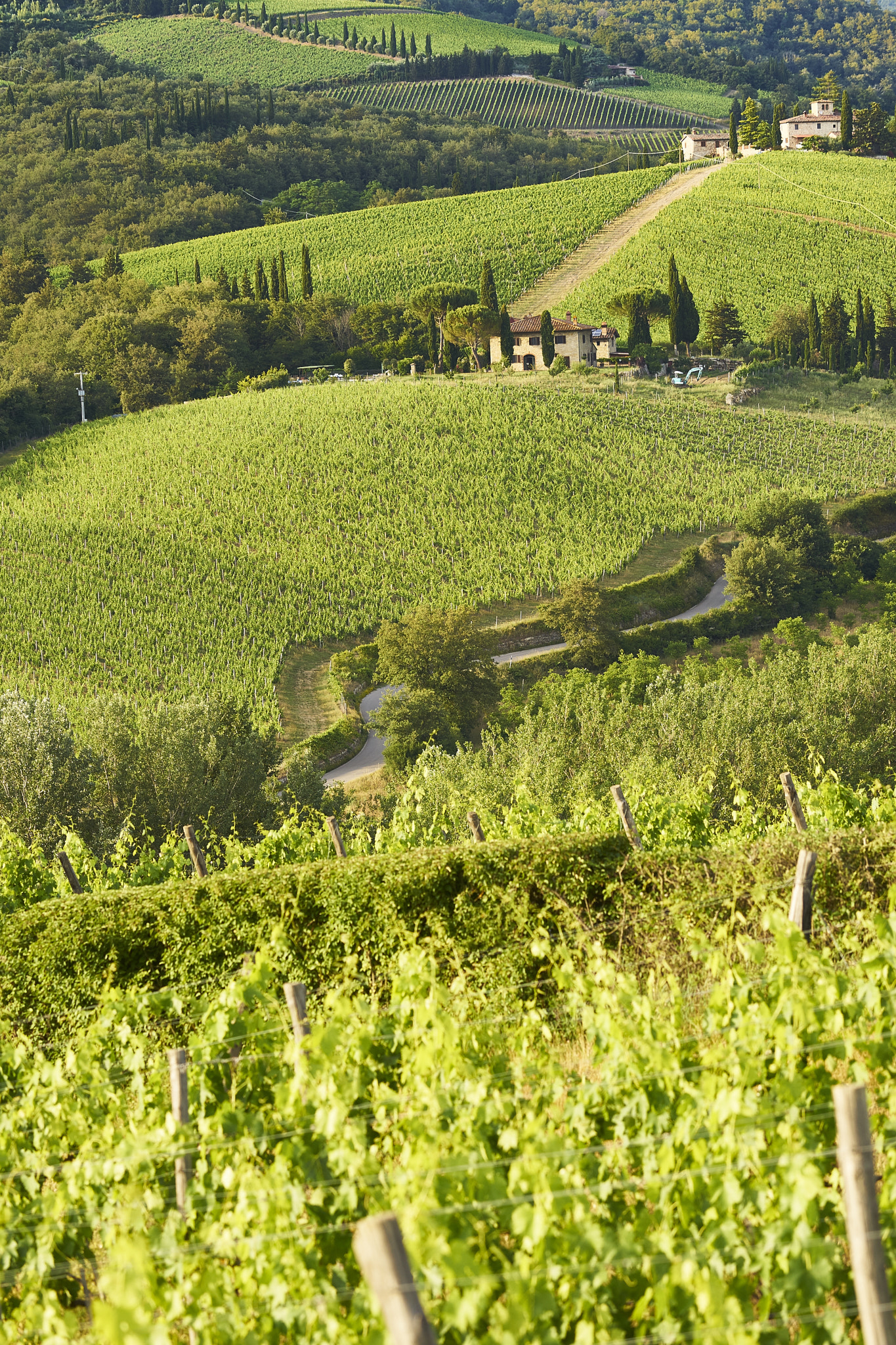 Sony Sonnar T* 135mm F1.8 ZA sample photo. Volpaia in the heart of chianti photography
