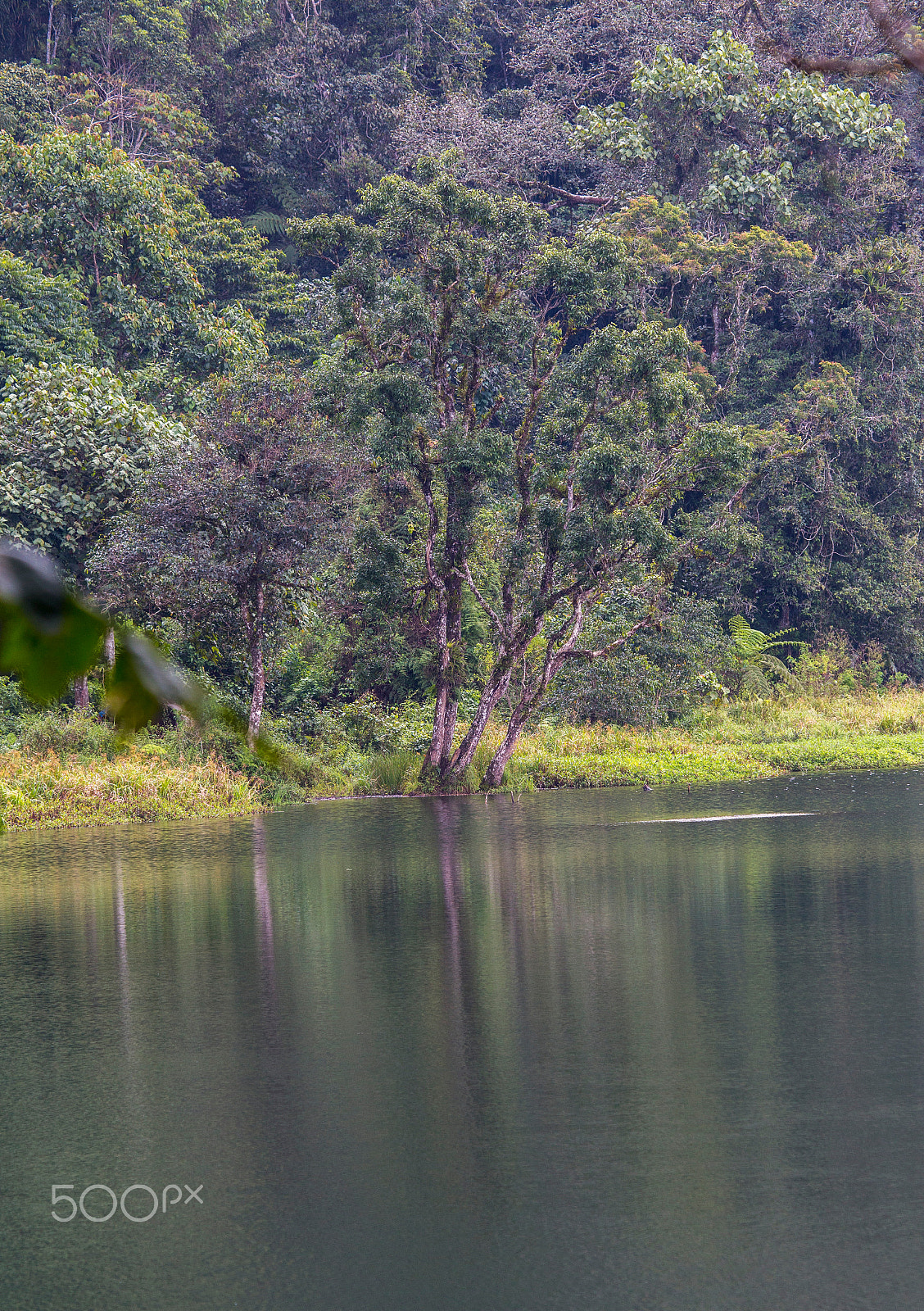 Canon EF 100-400mm F4.5-5.6L IS USM sample photo. Ranamese lake, flores island photography
