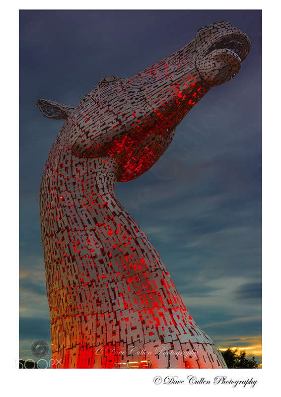 Canon EOS 600D (Rebel EOS T3i / EOS Kiss X5) + Canon EF 24-70mm F2.8L USM sample photo. The kelpies photography