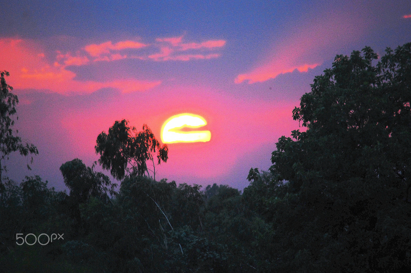 Nikon D80 sample photo. Sunsets over kanha tiger reserve photography