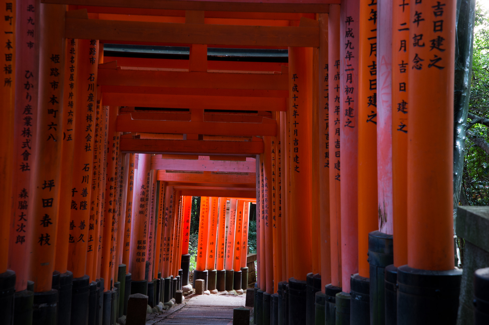 Nikon Df sample photo. Motomiya festival photography