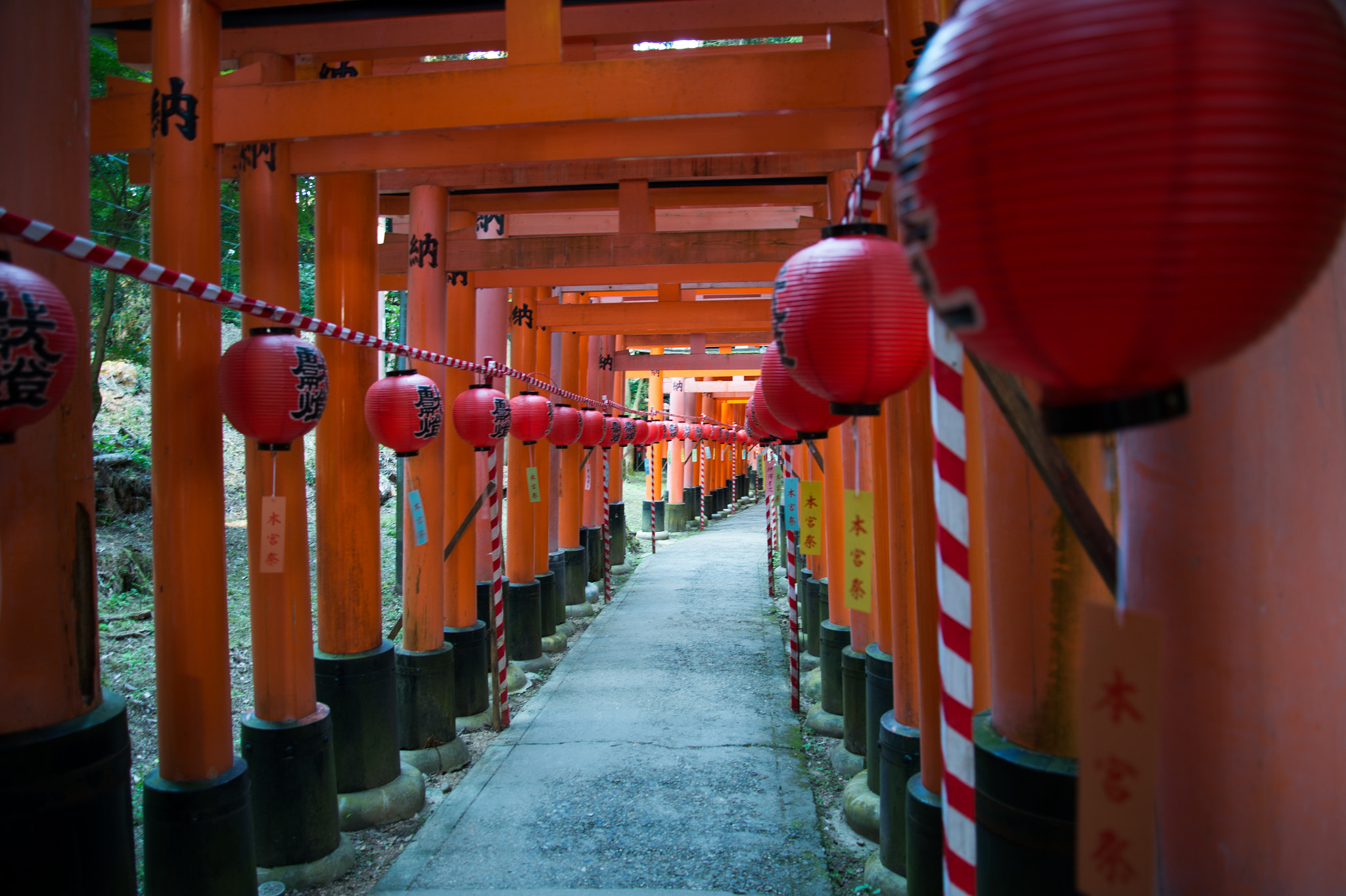 Nikon Df sample photo. Motomiya festival photography