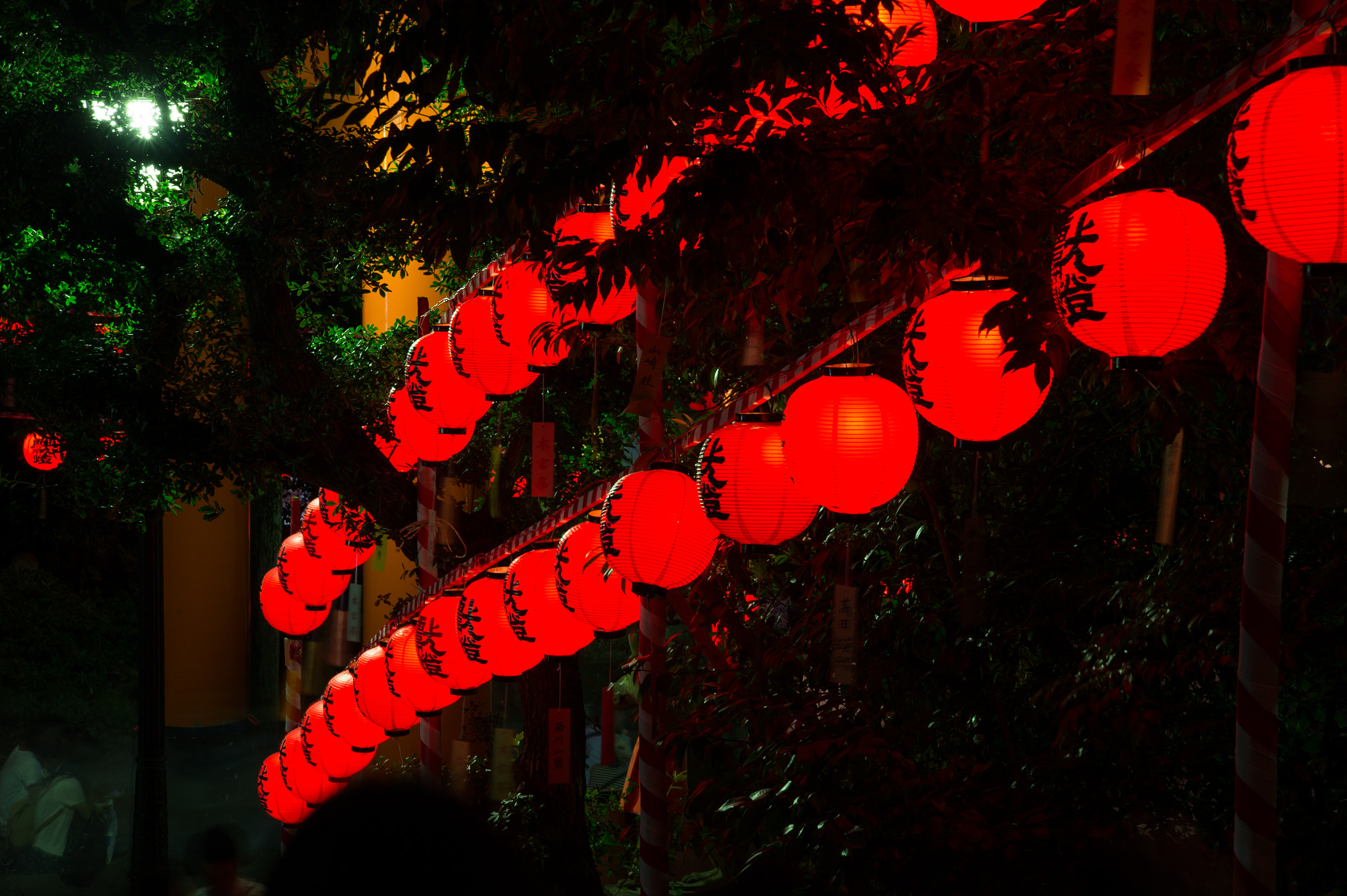 Nikon Df sample photo. Motomiya festival photography