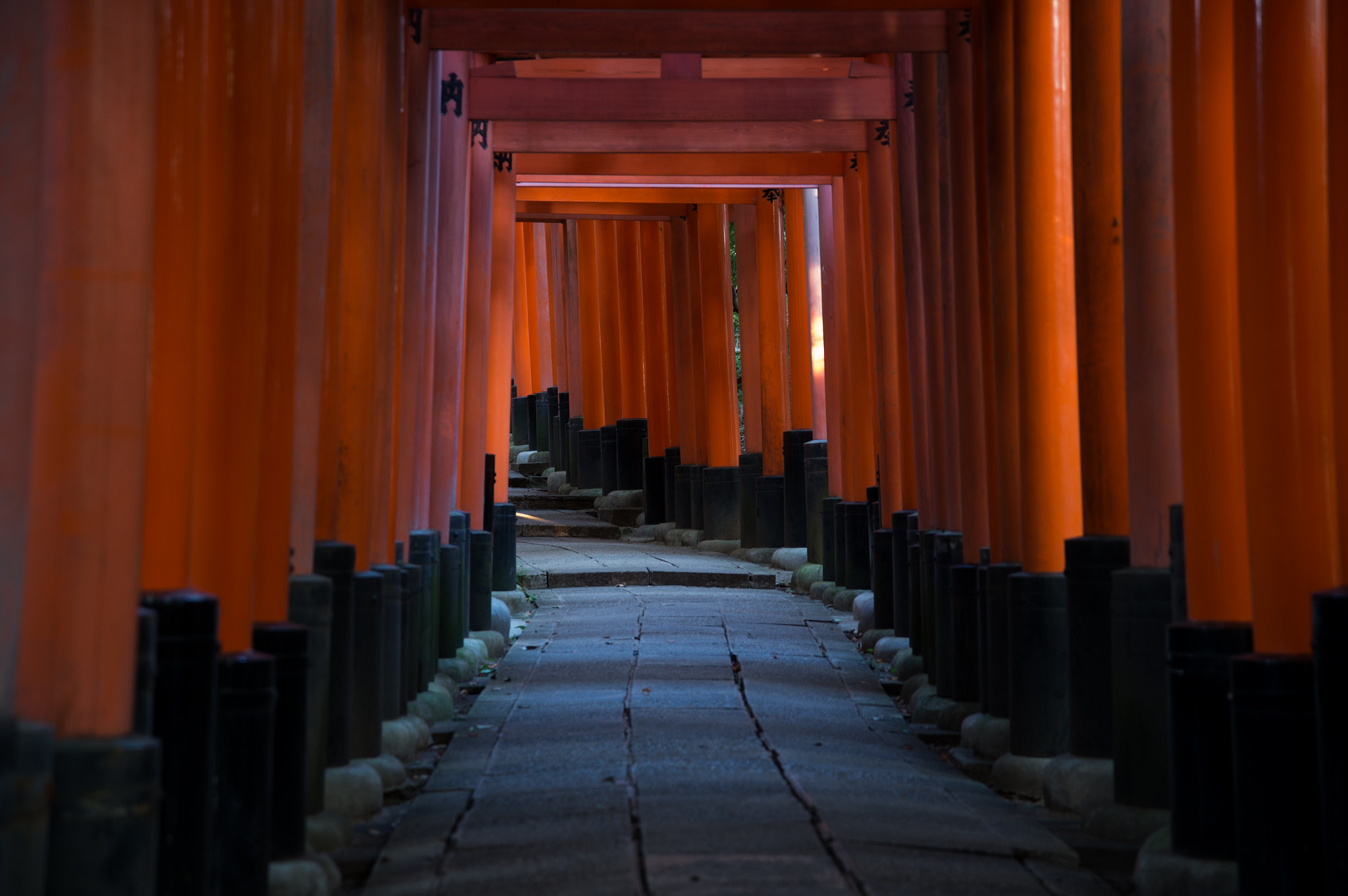 Nikon Df sample photo. Motomiya festival photography
