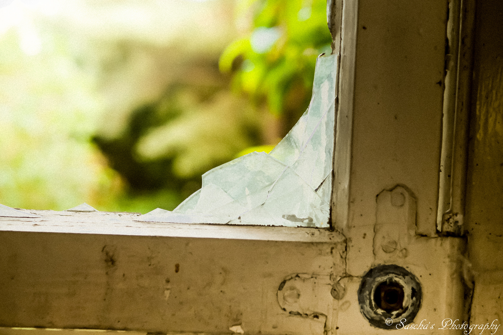 Sony SLT-A58 + Sony DT 35mm F1.8 SAM sample photo. Broken window photography