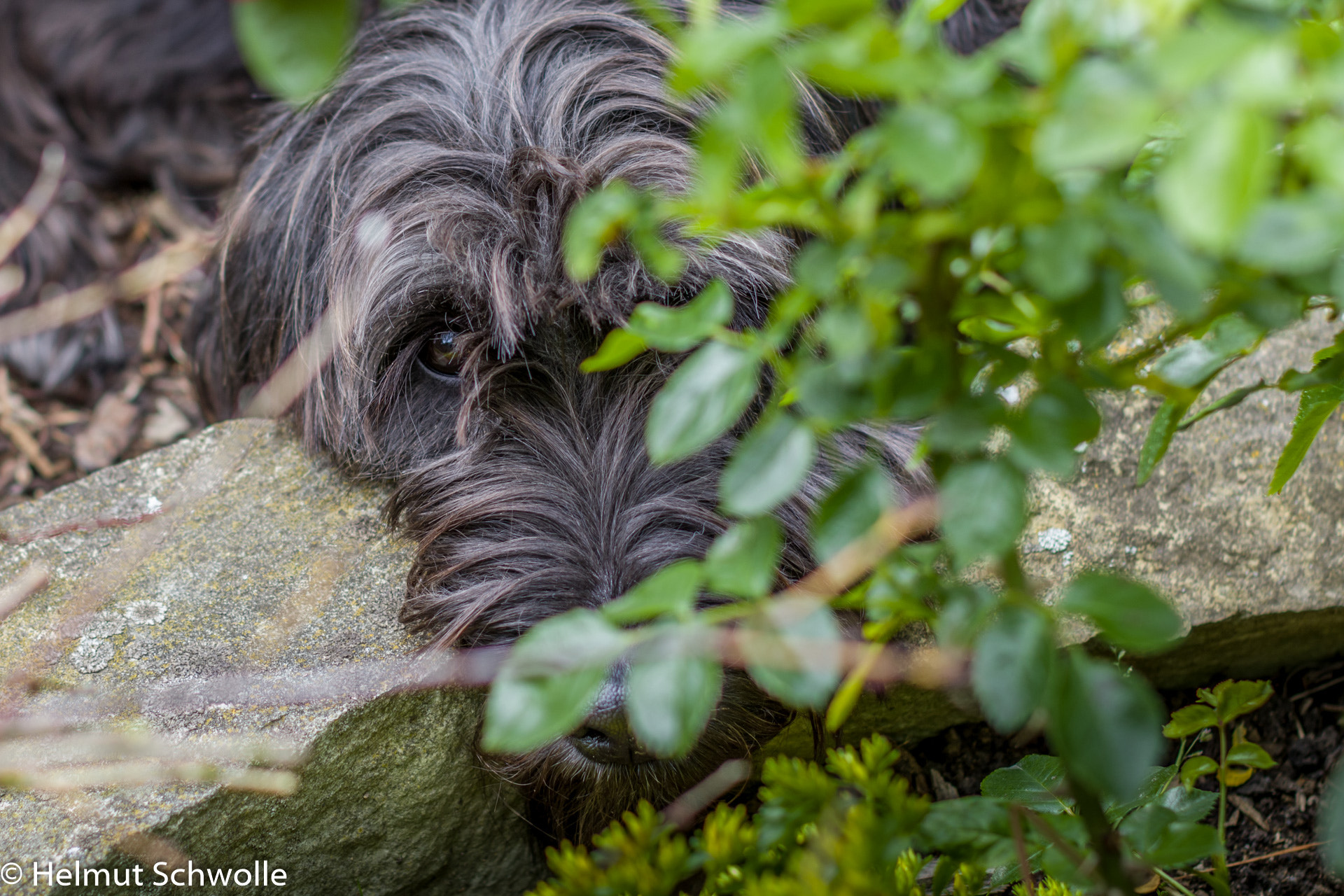 Canon EOS 70D + Canon EF 50mm F1.2L USM sample photo. Carbon im versteck photography