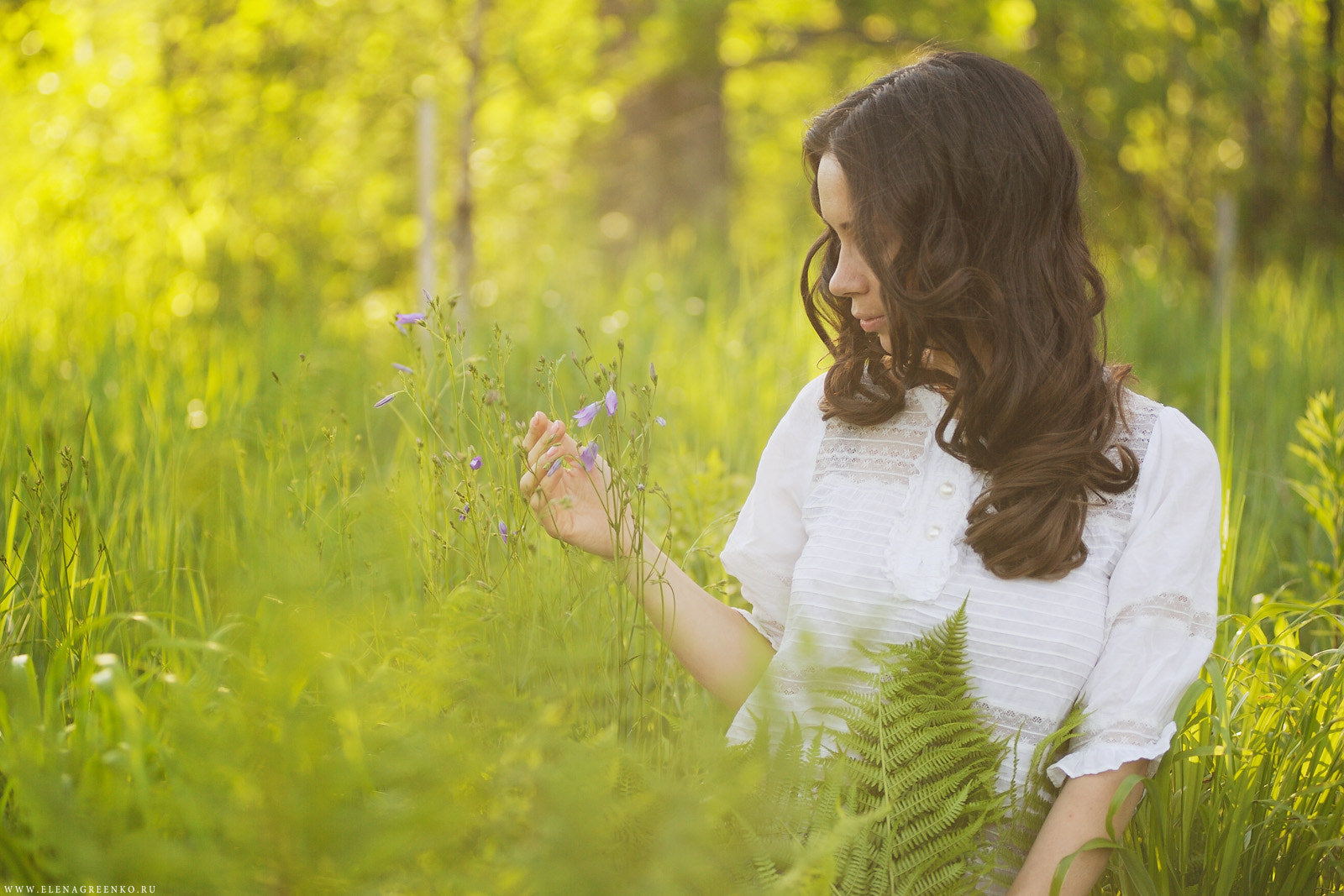 Nikon AF-Nikkor 80-200mm F2.8D ED sample photo. Fairy photography