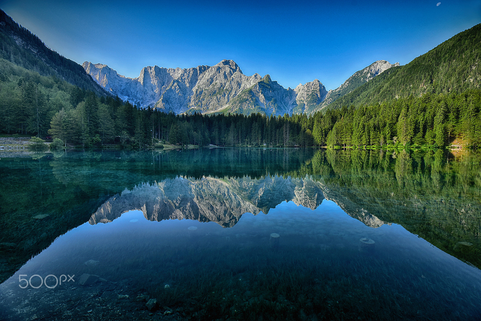 Nikon AF Micro-Nikkor 60mm F2.8D sample photo. Summer reflections photography