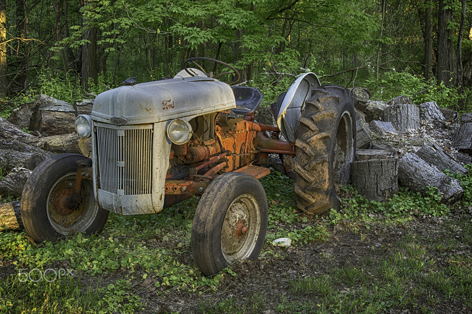 Nikon D7100 + Sigma 24-105mm F4 DG OS HSM Art sample photo. Orange photography