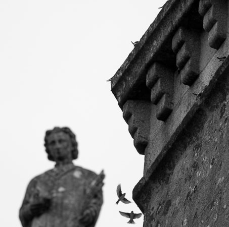 Canon EOS 70D + Canon EF 300mm F4L IS USM sample photo. Hirondelles de fenêtre sur l'église photography