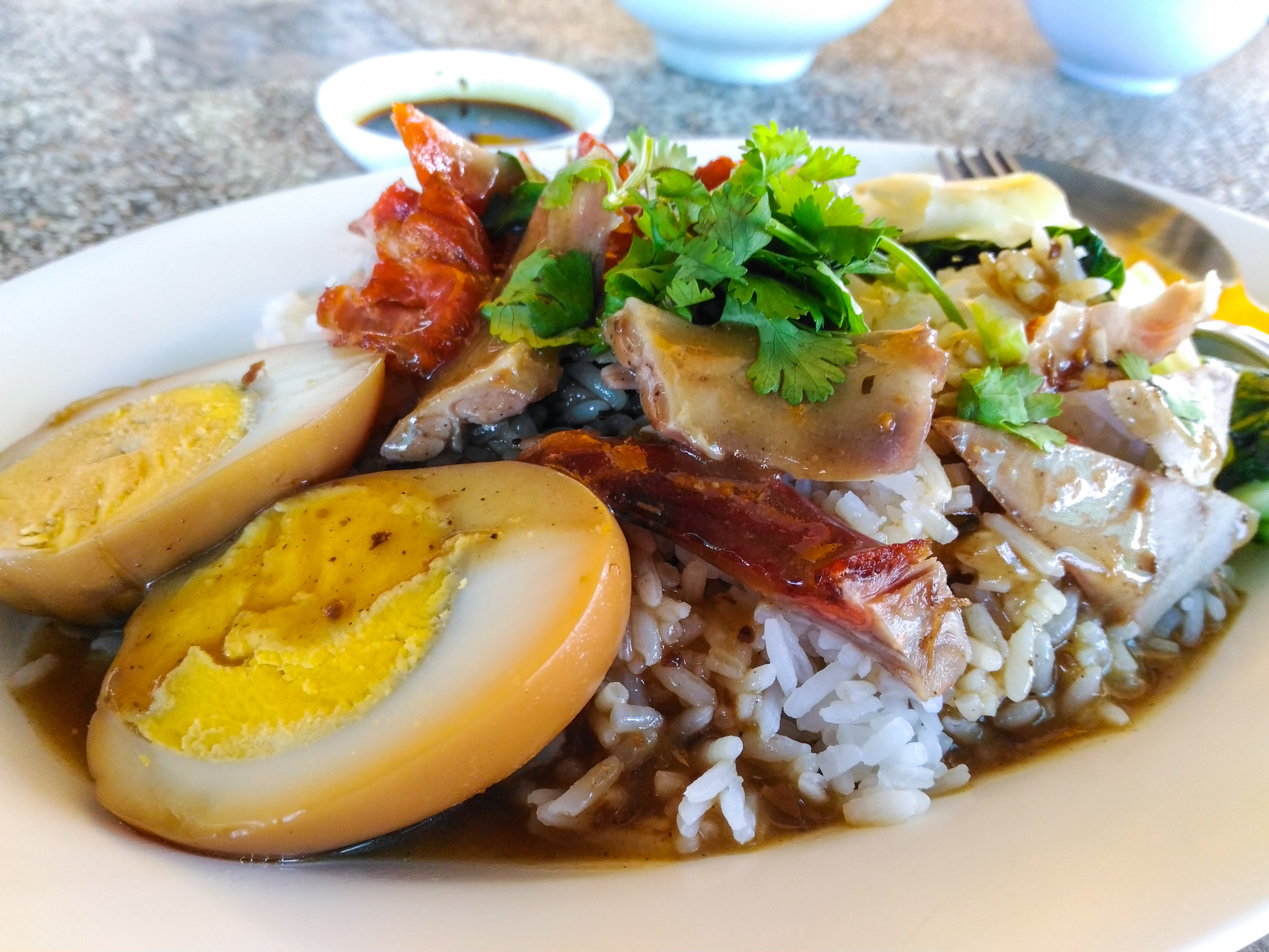 ASUS ZenFone Max (ZC550KL) sample photo. Rice with roast duck. photography