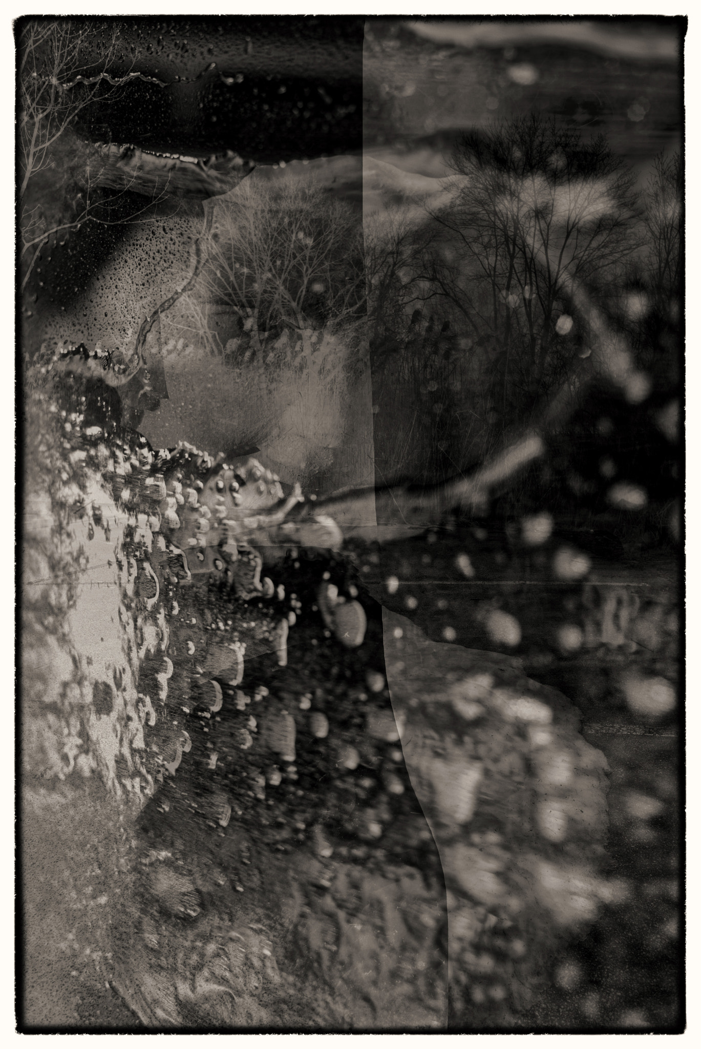Leica M (Typ 240) + Elmarit-M 1:2.8/24 ASPH. sample photo. "metamorphoses 2" photography