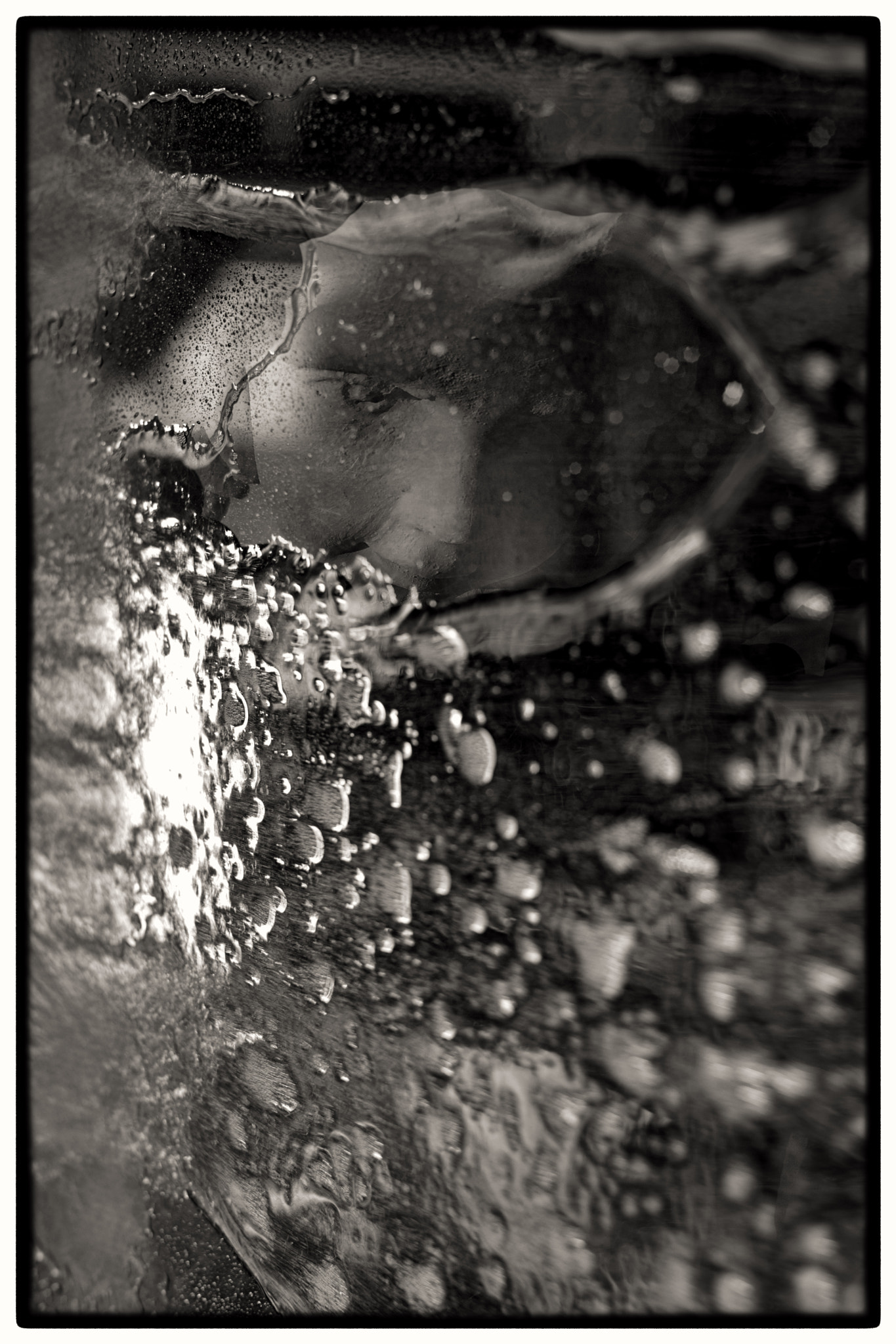 Leica Summilux-M 50mm F1.4 ASPH sample photo. "metamorphosis 3" photography