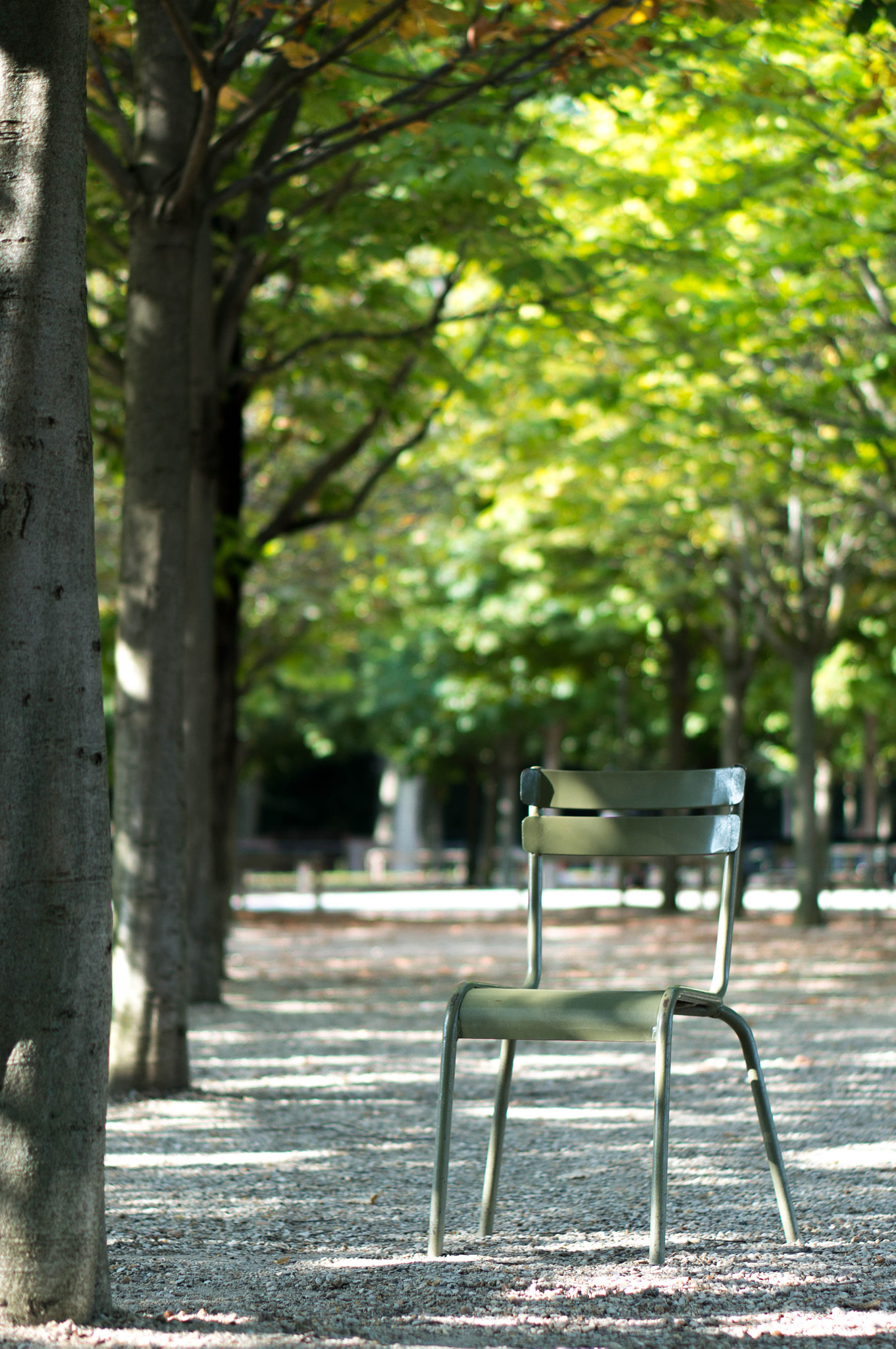 Sony Alpha NEX-5R + E 50mm F1.8 OSS sample photo. Jardin du luxembourg photography