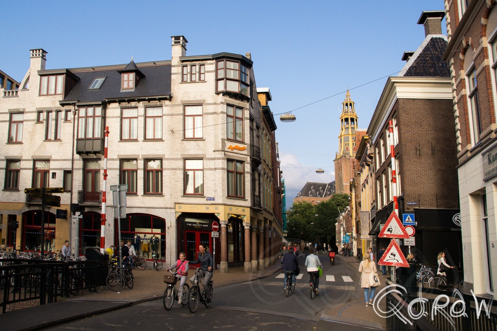 Sony SLT-A58 + Sigma 18-200mm F3.5-6.3 DC sample photo. Hooge der a (groningen) photography