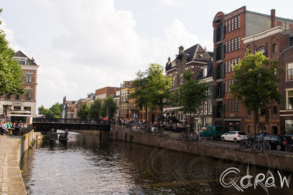 Sony SLT-A58 + Sigma DC 18-125mm F4-5,6 D sample photo. Dekkleeden (groningen) photography
