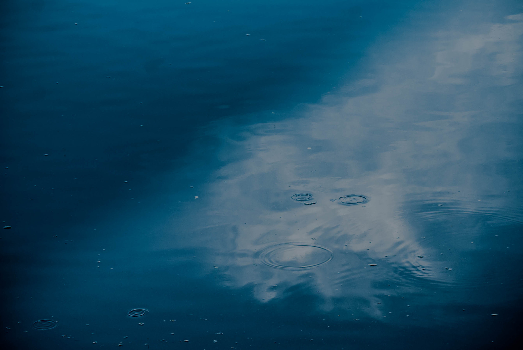 Sony Alpha DSLR-A300 sample photo. Esprit de l'eau... photography