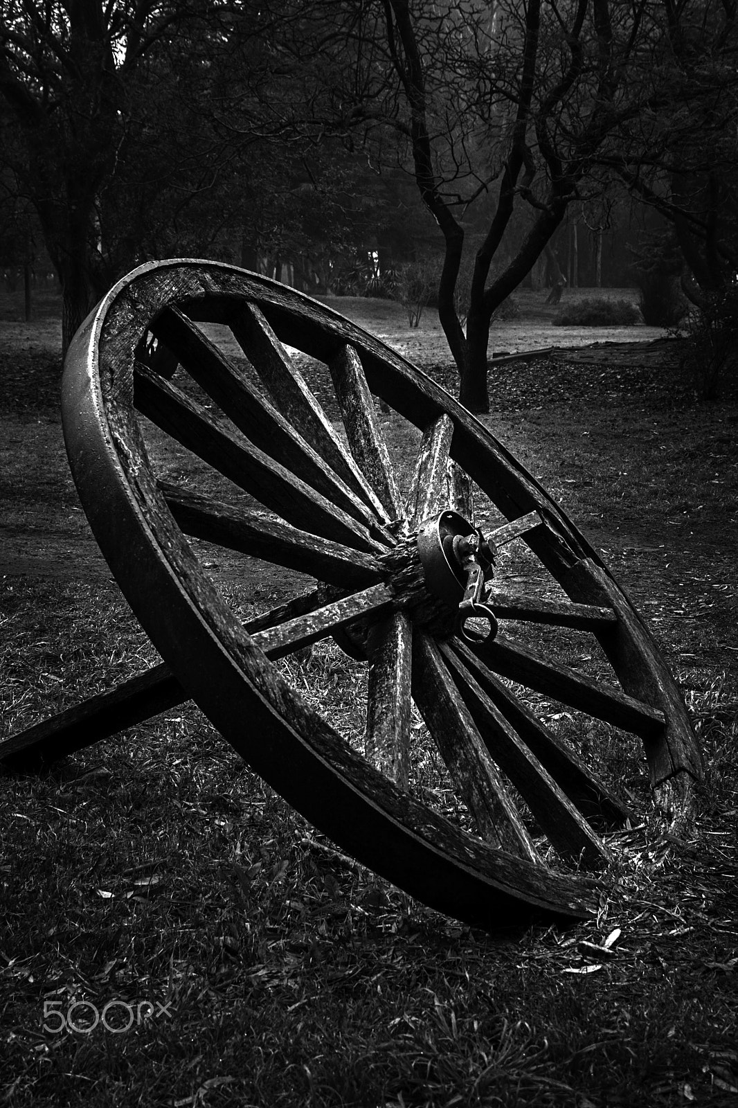 Canon EOS 400D (EOS Digital Rebel XTi / EOS Kiss Digital X) sample photo. Free wheel ... photography