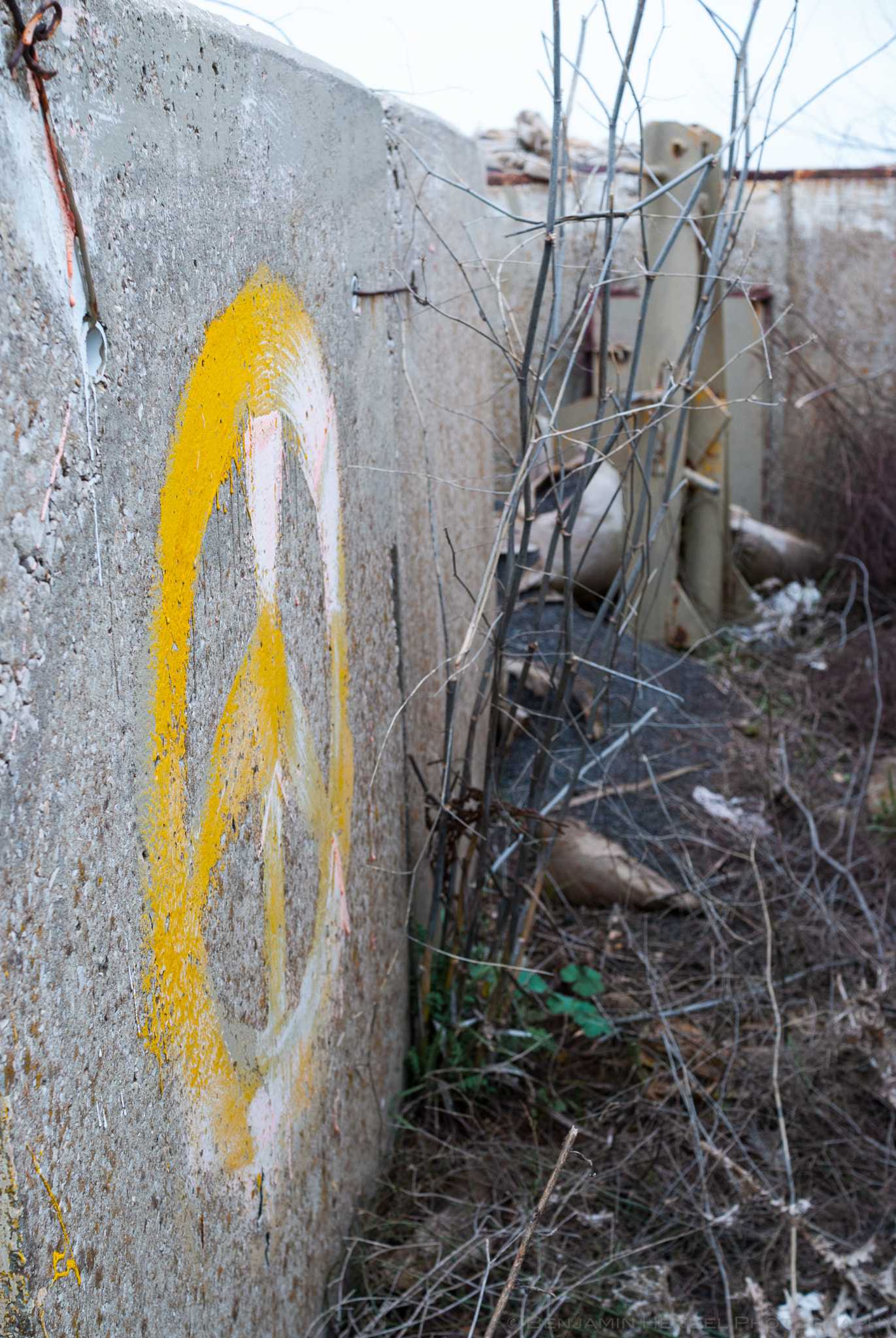 Sigma 30mm F1.4 EX DC HSM sample photo. Peace photography