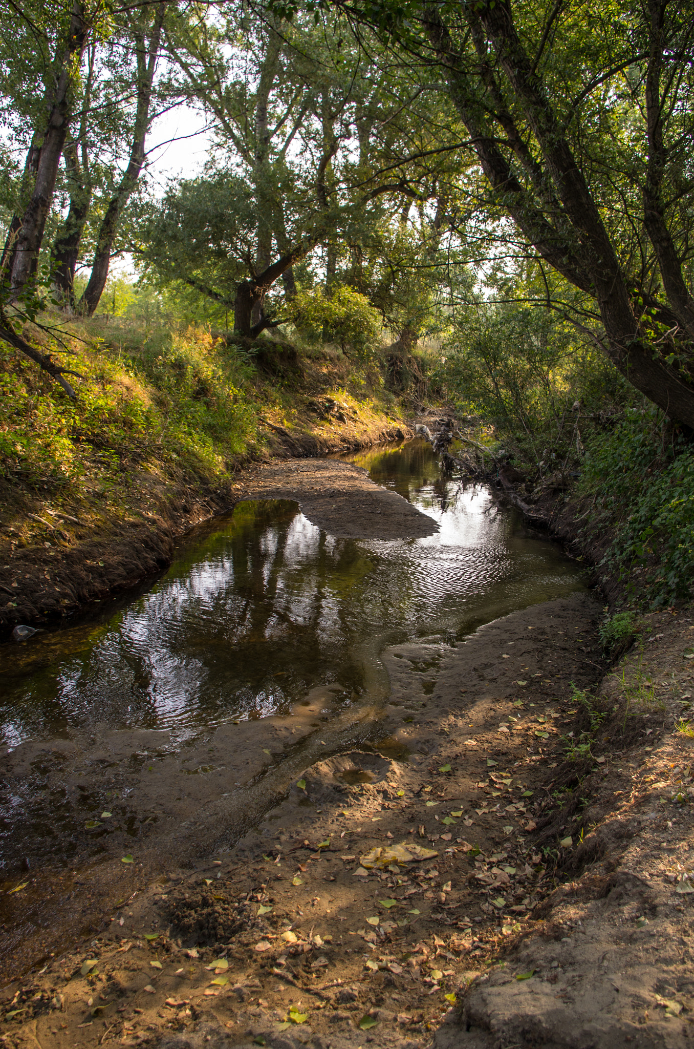 Pentax K-5 sample photo. River landscape photography