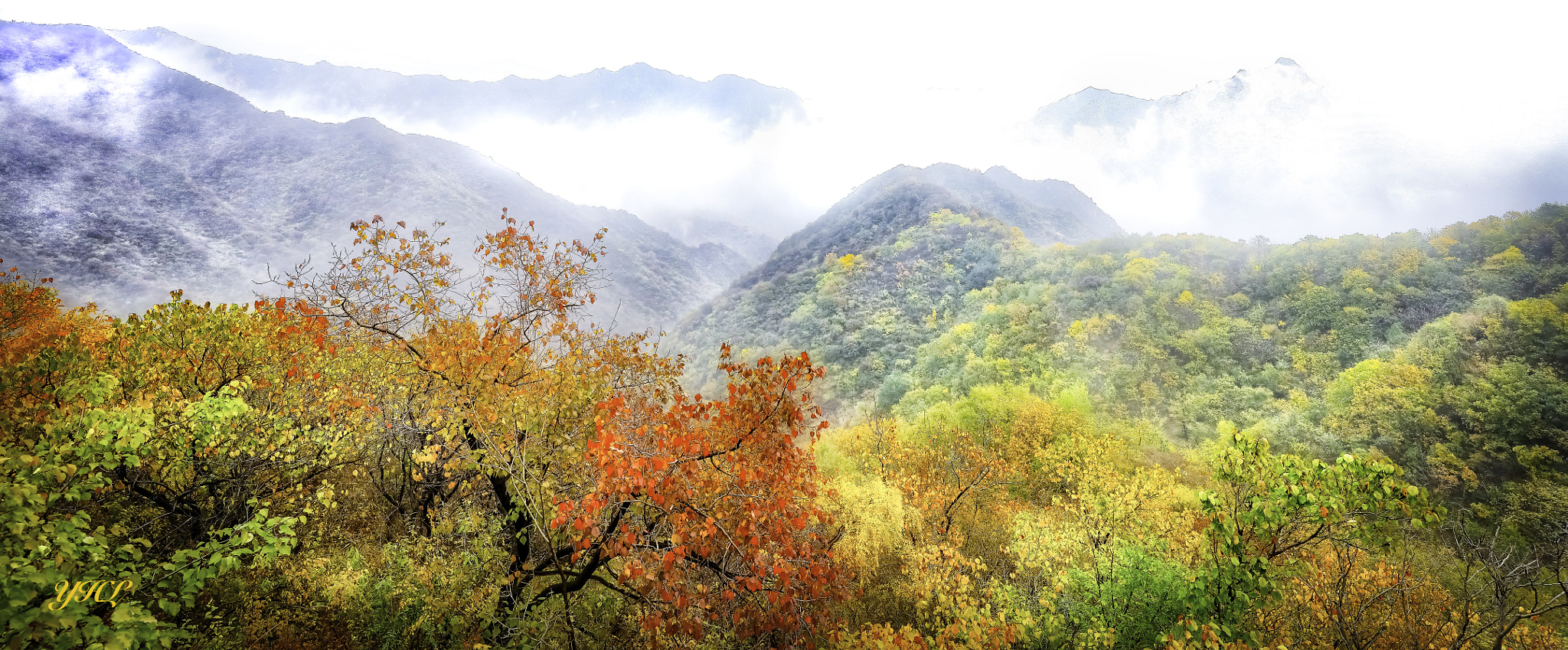 Canon EOS 5DS + Canon EF 16-35mm F4L IS USM sample photo. Misty autumn mountain photography