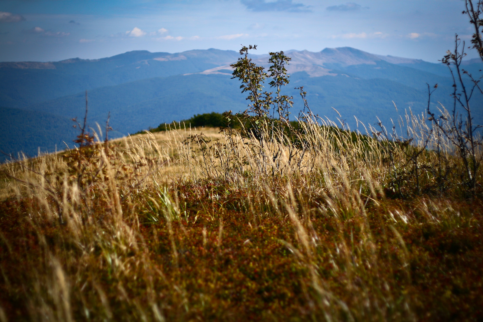 Canon EOS 30D + Canon EF 50mm F1.8 II sample photo. Mountains photography