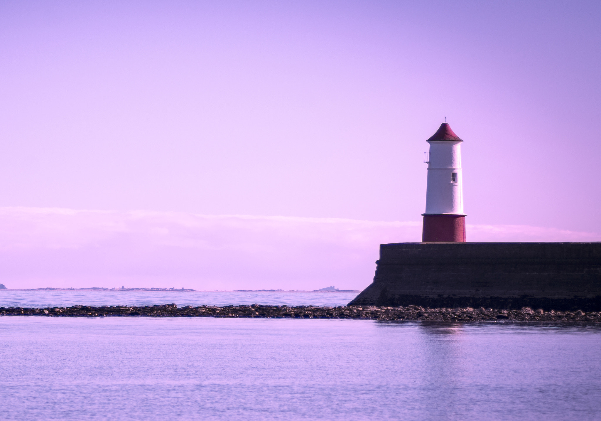 Tamron AF 70-300mm F4-5.6 Di LD Macro sample photo. Purple glow photography