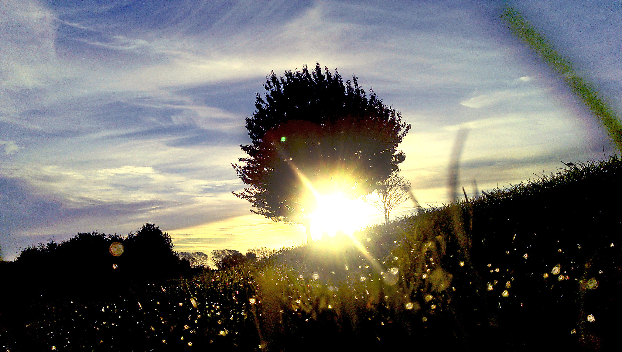HTC ONE MINI sample photo. () photography