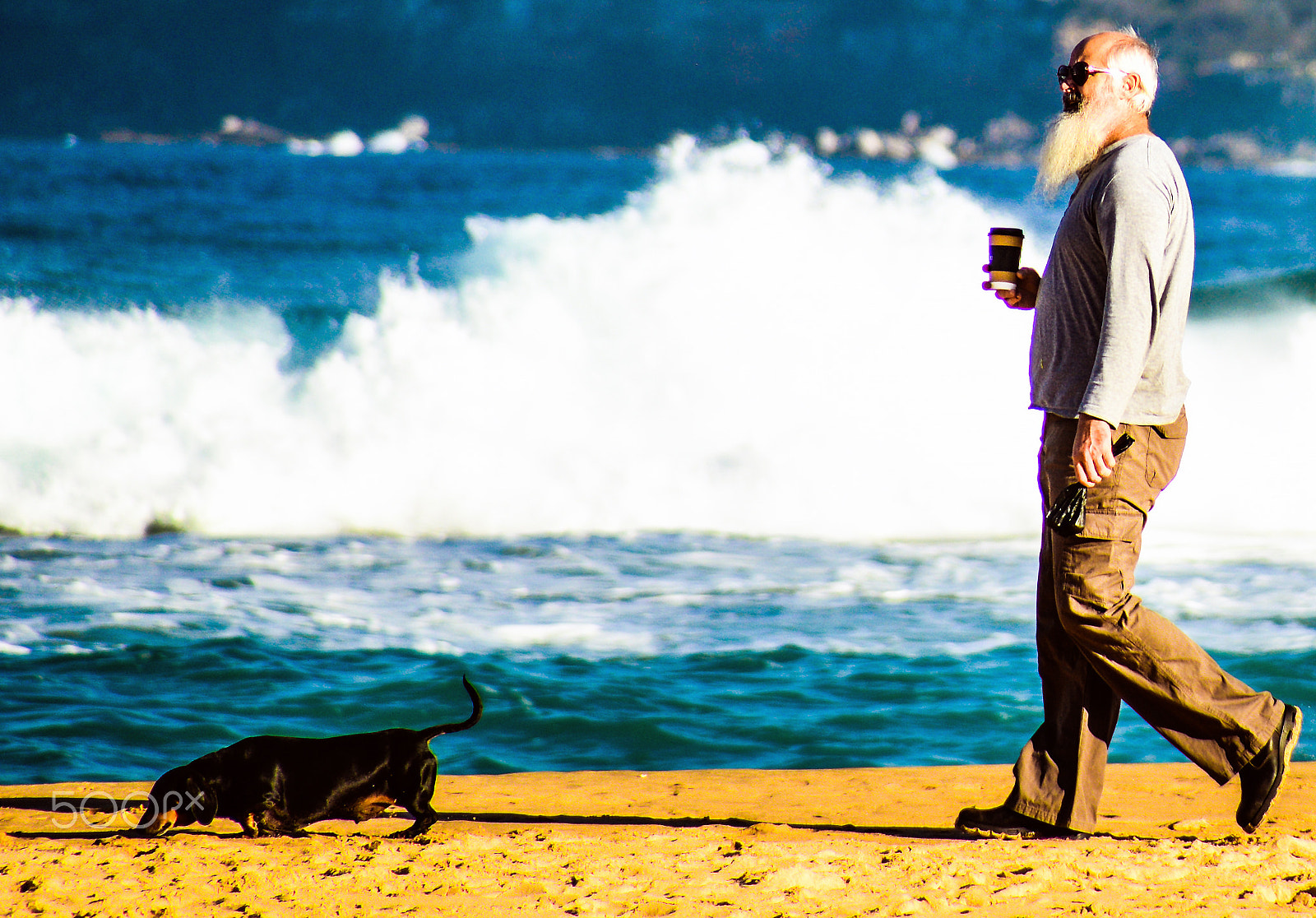 Nikon D600 sample photo. How cool am i!!! hey the dogs not mine, shu shu... photography