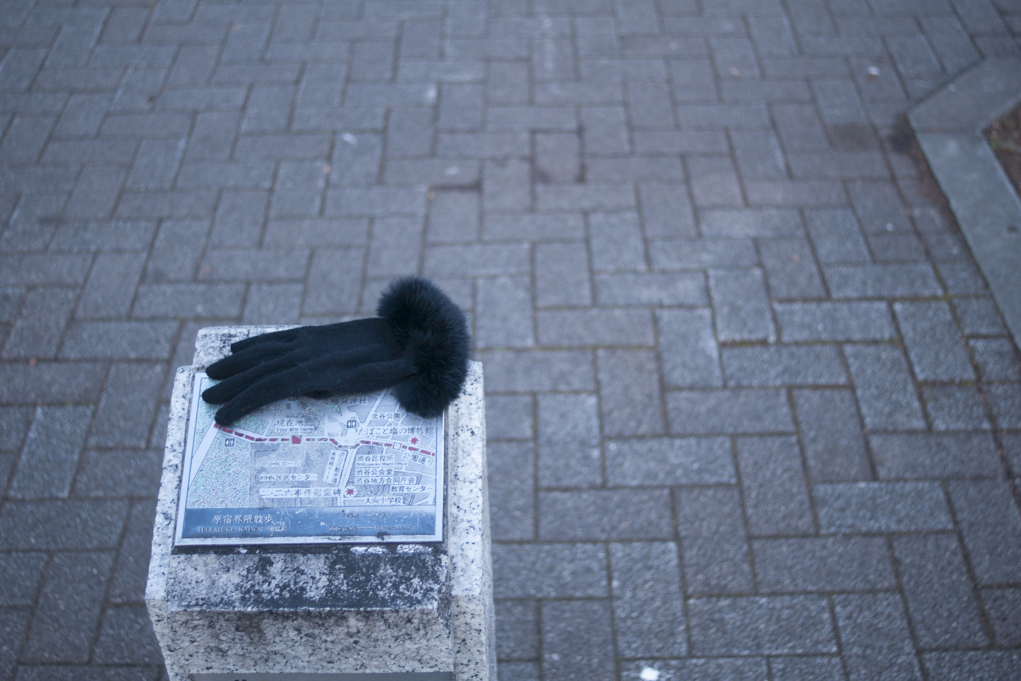Sony DT 30mm F2.8 Macro SAM sample photo. Tokyo : chasing someone photography