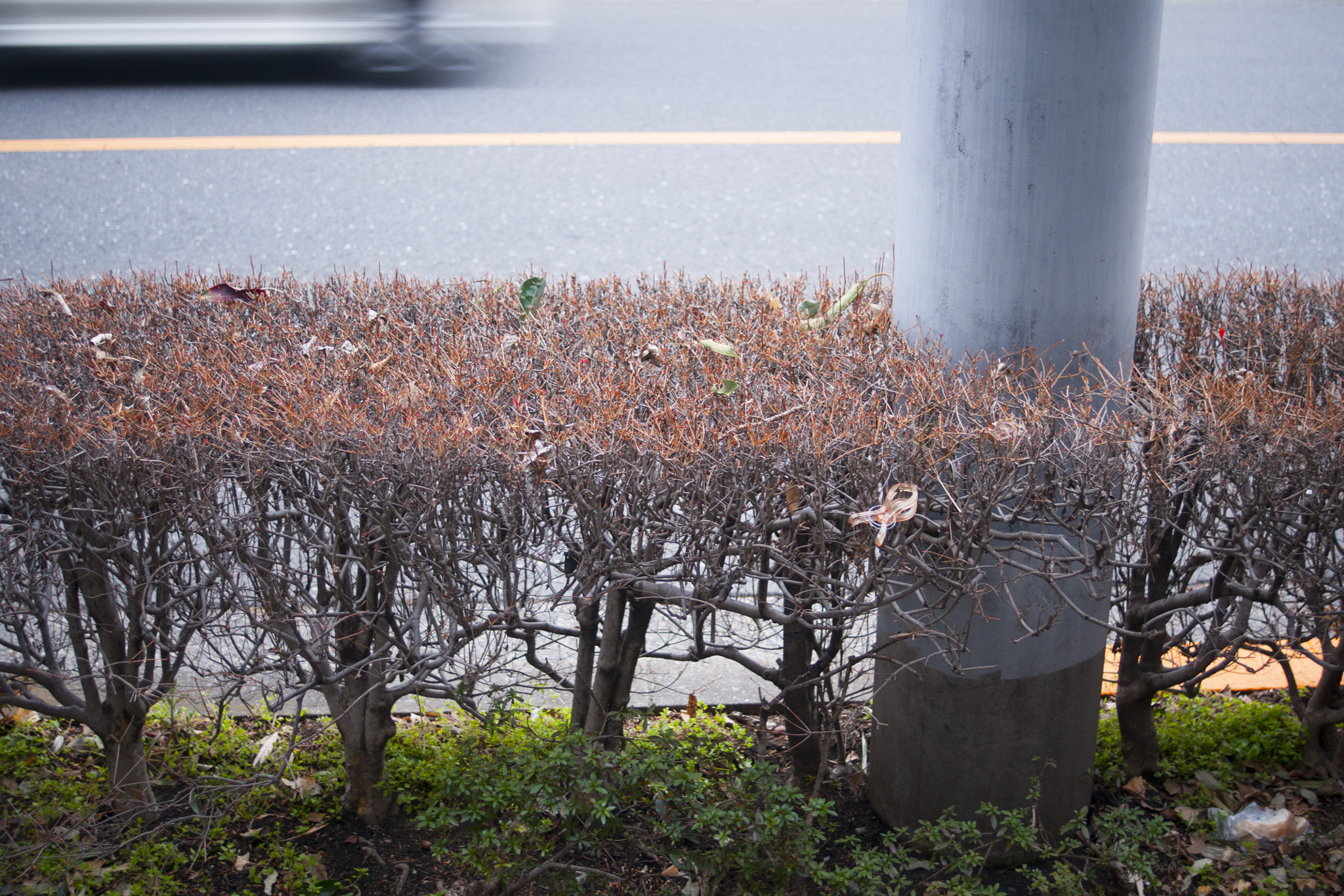 Sony DT 30mm F2.8 Macro SAM sample photo. Tokyo : chasing someone photography
