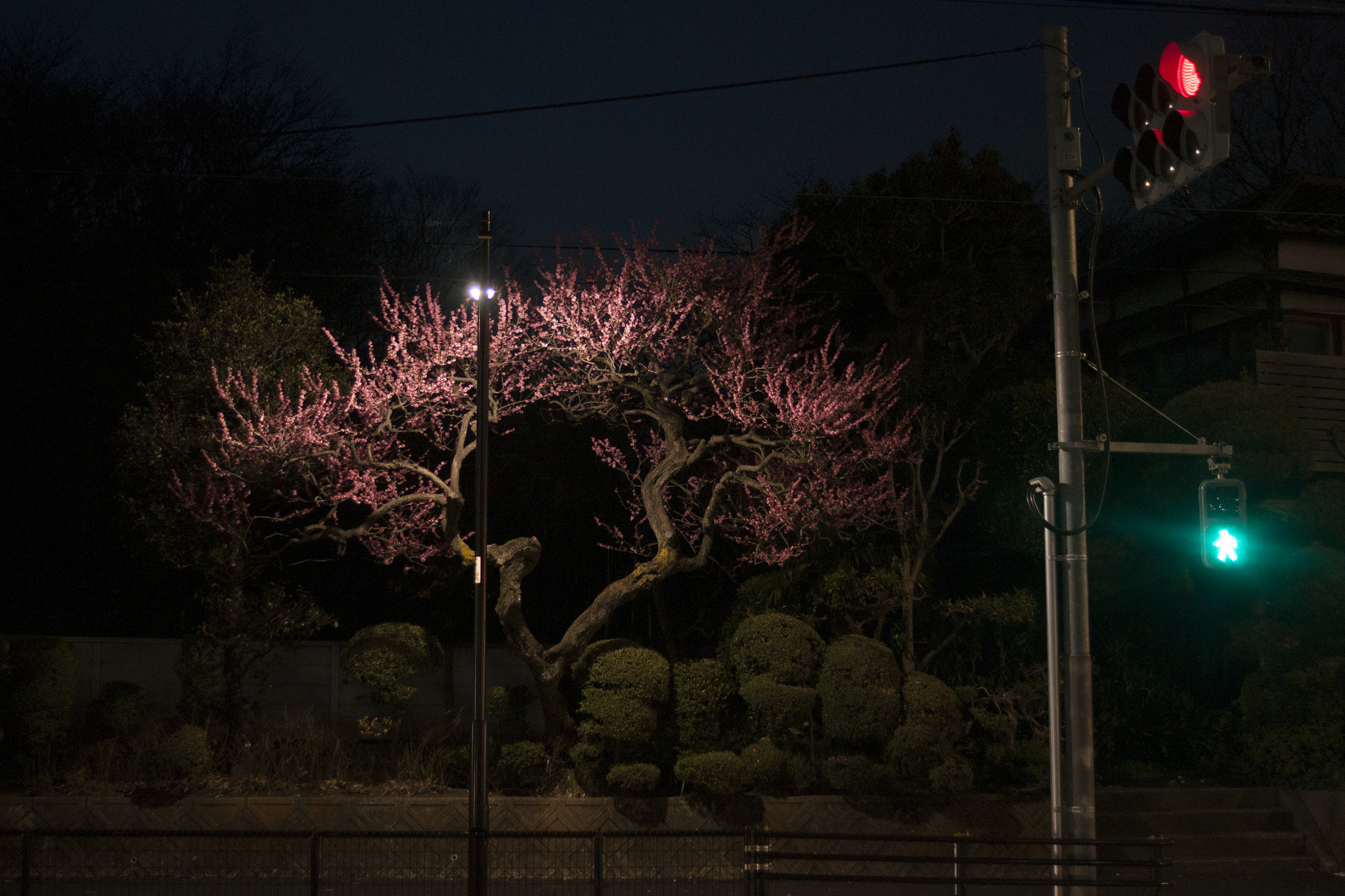 Sony Alpha DSLR-A700 + Sony DT 30mm F2.8 Macro SAM sample photo. Tokyo : chasing someone photography