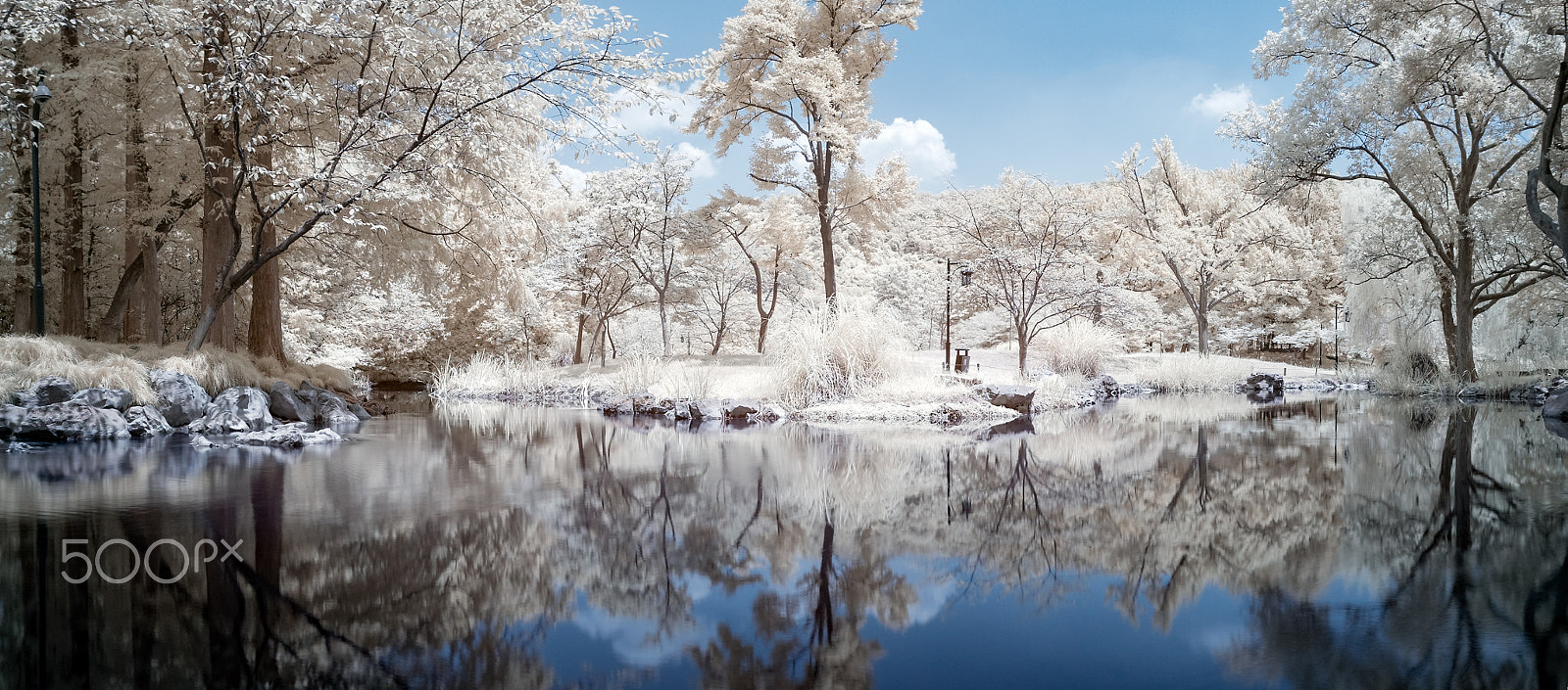 Nikon D300S sample photo. Mirroring photography